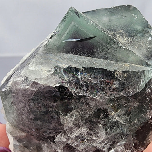 A close-up image of the **Fluorite - The Superior Mine, Mambilla Plateau, Nigeria, Africa** from **The Crystalary**, featuring a color-changing fluorite crystal with multiple facets and sharp edges. The slightly translucent green and clear crystal showcases internal fractures and veins, delicately held by a person's fingers partially visible on the left side.