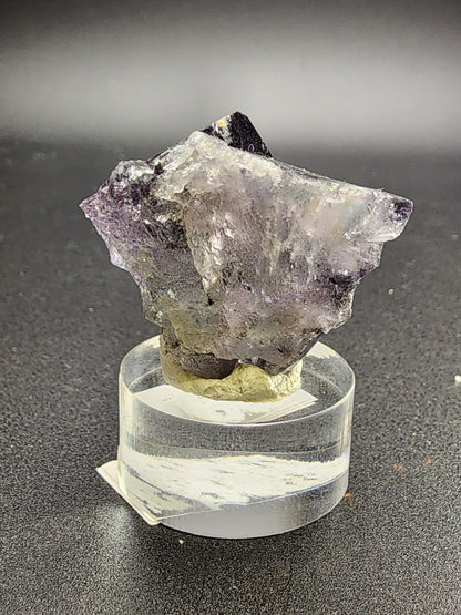 A rough, fluorite crystal from the Purple Rain Pocket of the Fairy Hole Vein in Lady Annabella Mine stands upright on a clear, cylindrical display base. The specimen, offered by The Crystalary, features an irregular shape with jagged edges and multiple facets that exhibit both translucent and opaque areas. The background is a plain, dark surface.