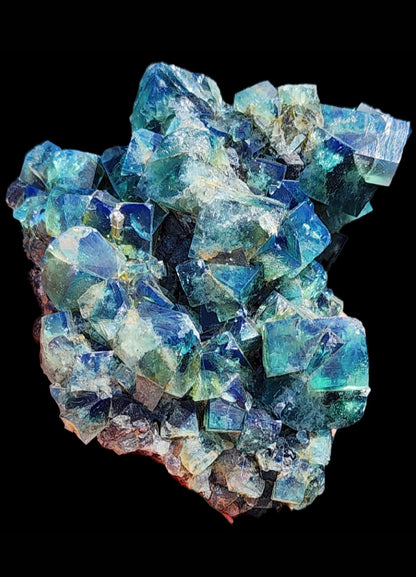 The Crystalary's "Fluorite w/ Galena- Heavy Metal Pocket" from the Diana Marie Mine in Weardale, County Durham, England showcases a cluster of vibrant fluorite crystals accented by striking Galena crystals against a black background. This exquisite piece displays deep blue and green hues with subtle hints of translucence. The angular surfaces brilliantly reflect light, giving it a shimmering appearance.