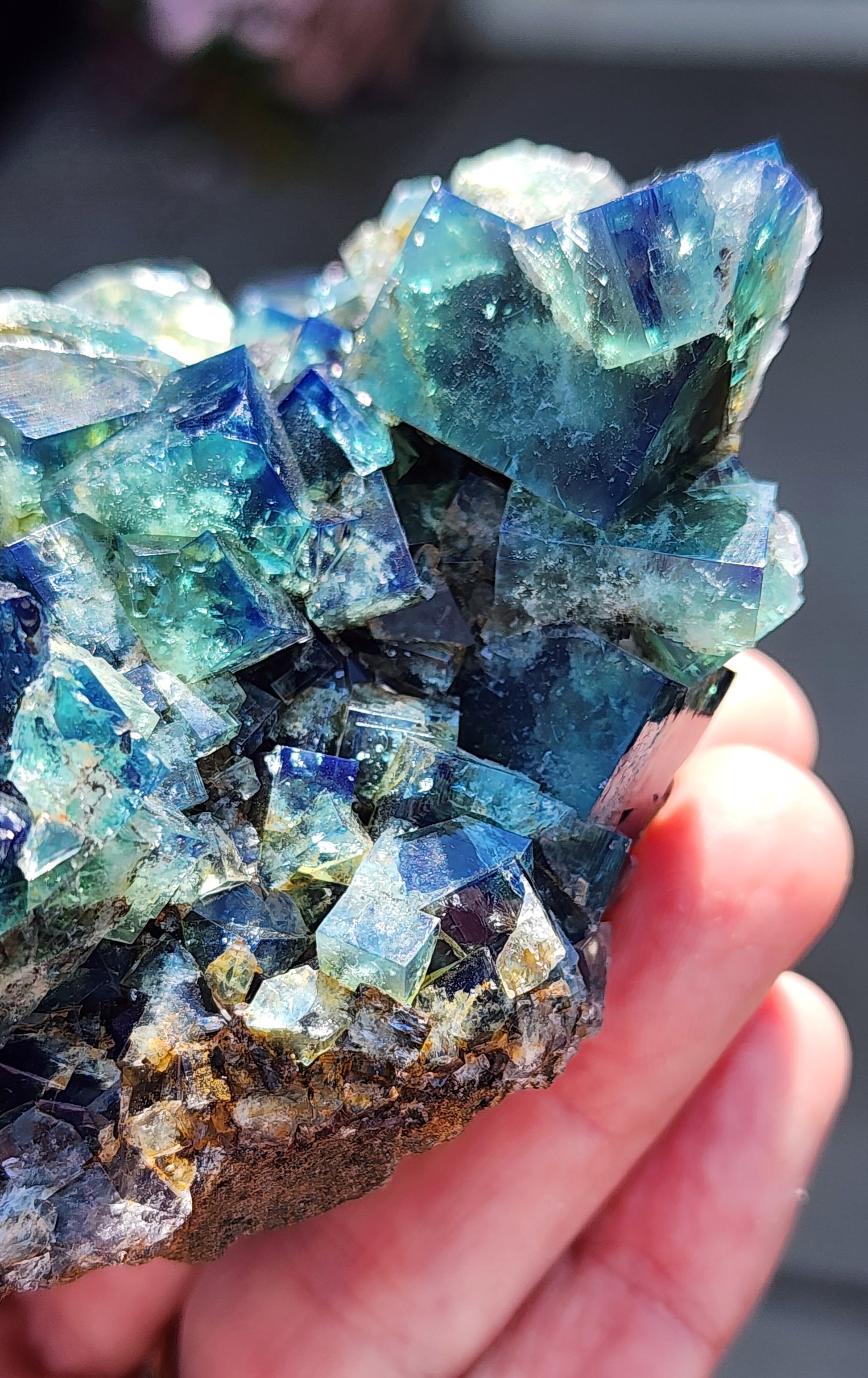 Close-up of a person's hand holding a cluster of The Crystalary's Fluorite w/ Galena - Heavy Metal Pocket, sourced from Diana Marie Mine in Weardale, County Durham, England. The fluorite displays vivid shades of blue, green, and purple with sharp edges and translucent sections that reflect light, accompanied by the shiny galena crystals.