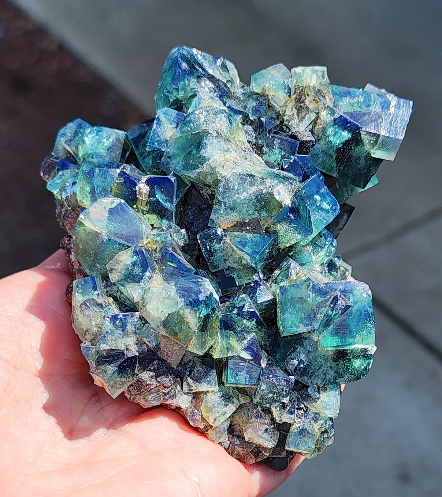 A hand holds a cluster of vibrant, multi-faceted Fluorite w/ Galena from the Heavy Metal Pocket of the Diana Marie Mine in Weardale, County Durham, England. The crystals are mostly blue and green, reflecting light with a mesmerizing iridescent sheen. The background is blurred, focusing attention on the intricate details of this exquisite formation offered by The Crystalary.