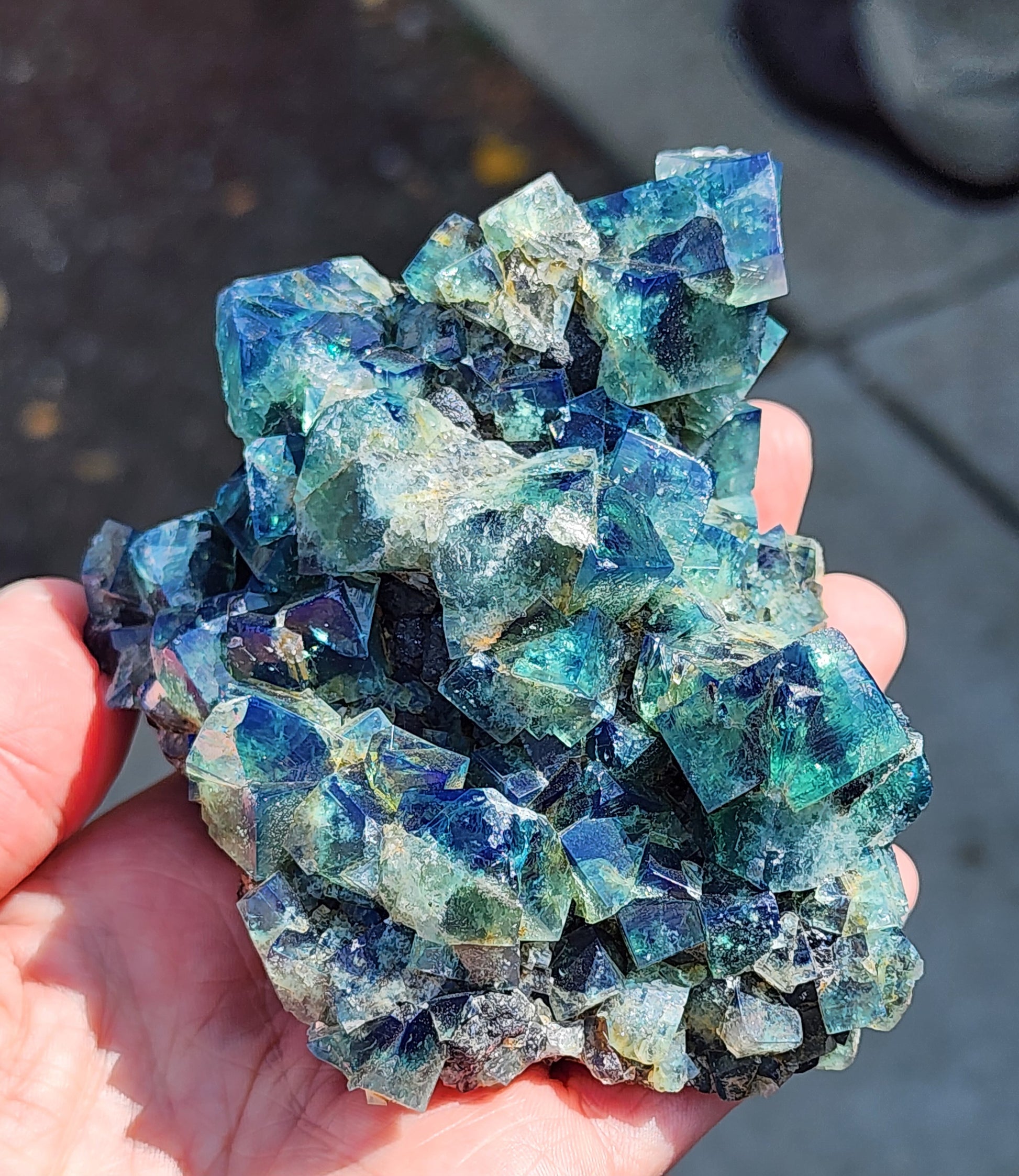 A hand holds a cluster of colorful, iridescent fluorite crystals from "Fluorite w/ Galena- Heavy Metal Pocket, Diana Marie Mine, Weardale, County Durham, England," by The Crystalary. These mineral formations display various shades of blue, green, and purple. They appear angular and well-defined with a glossy surface catching the light. The background is blurred.