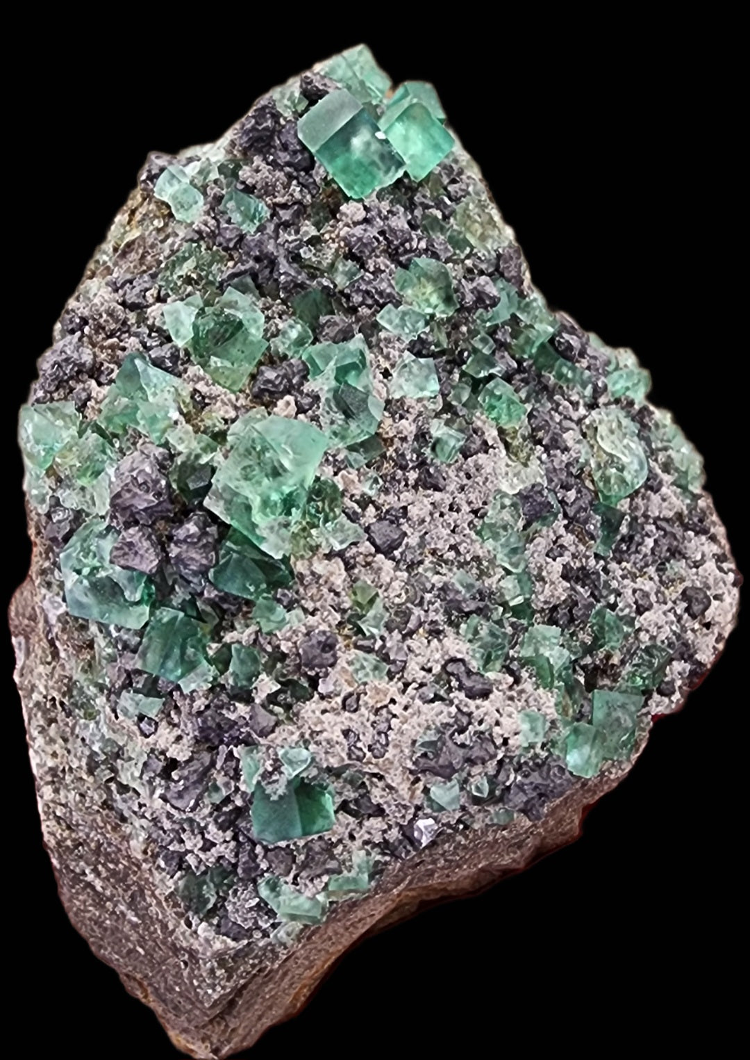 The Crystalary's "Fluorite w/ Galena- Heavy Metal Pocket" from Diana Marie Mine in Weardale, County Durham, England, features a rough rock specimen adorned with numerous translucent green fluorite and blackish-gray galena crystals set against a dark background. The irregular distribution of the crystals across the surface creates a textured and intricately detailed mineral formation.