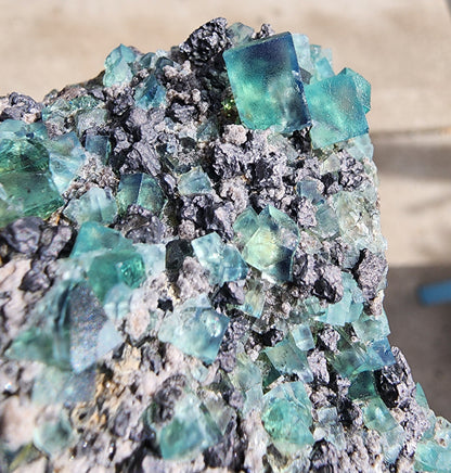 Close-up shot of "Fluorite w/ Galena- Heavy Metal Pocket" by The Crystalary, showcasing vibrant green and blue cubic fluorite crystals embedded in a dark, rocky matrix. Interspersed with glistening galena crystals, the translucent fluorite from the Diana Marie Mine in Weardale, County Durham, England shines in natural light, with some areas appearing more transparent than others.