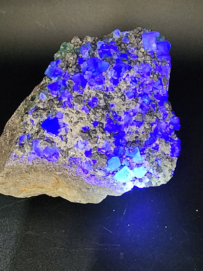 A striking rocky mineral specimen from The Crystalary, featuring vibrant blue, translucent fluorite crystals from the Diana Marie Mine in Weardale, County Durham, England, is illuminated under UV light. The irregularly shaped fluorite crystals are densely clustered on the rock's surface, closely resembling miniature galena crystals with their intricate details.