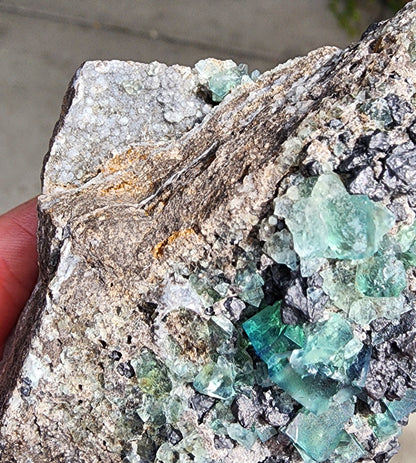 A close-up of a person's hand holding a specimen from The Crystalary product collection, specifically the "Fluorite w/ Galena- Heavy Metal Pocket" from the Diana Marie Mine in Weardale, County Durham, England. This rock features green fluorite crystals embedded within a gray matrix, as well as white crystalline formations, galena crystals, and additional mineral deposits. The background is blurred and indistinct.