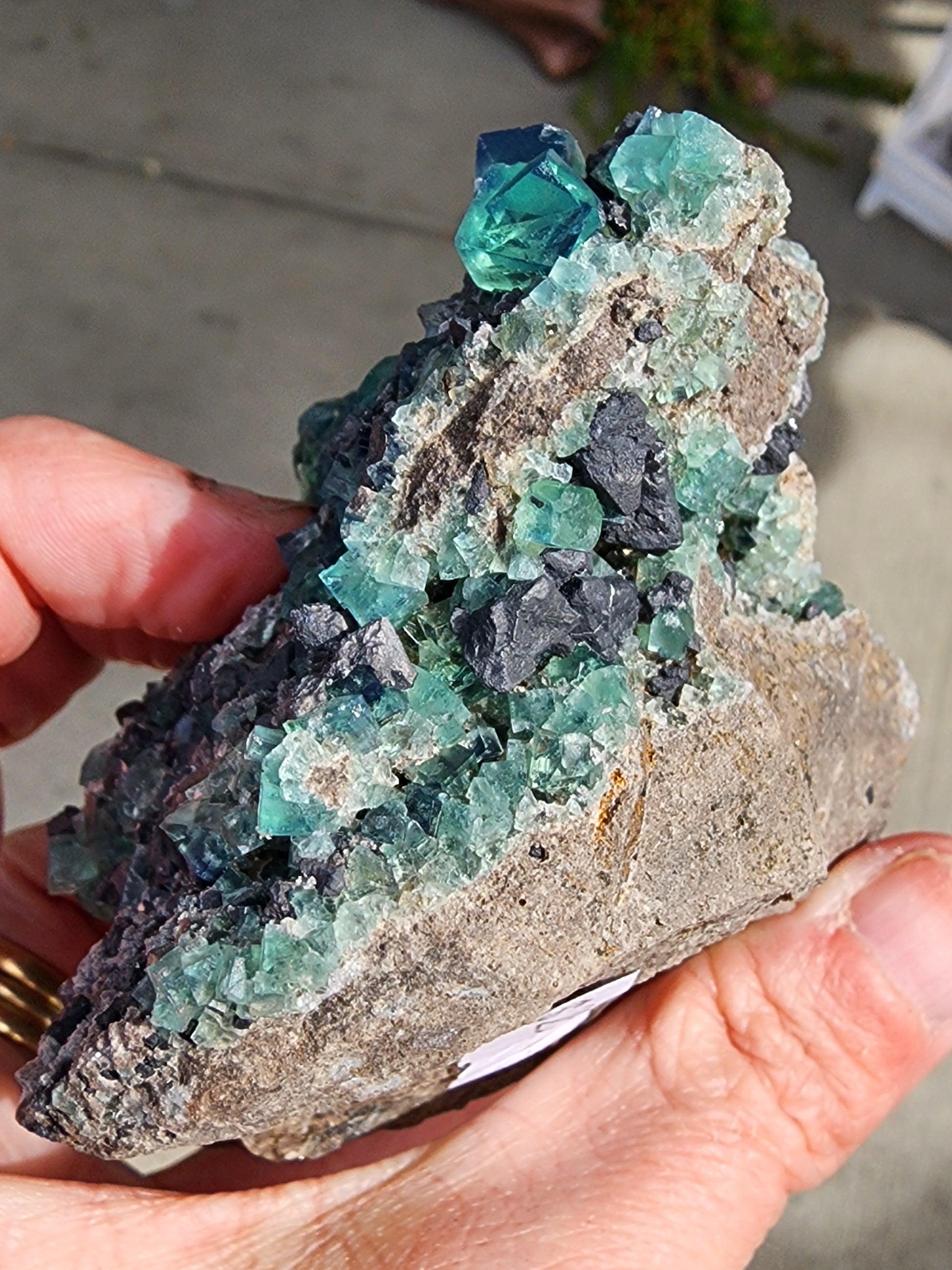 A hand holding a specimen from The Crystalary brand is adorned with rough rock embedded with green and teal crystalline fluorite. This particular piece, named "Fluorite w/ Galena- Heavy Metal Pocket," hails from the Diana Marie Mine in Weardale, County Durham, England. The blurred pavement background accentuates the texture and color variation within the crystalline structure of the rock.