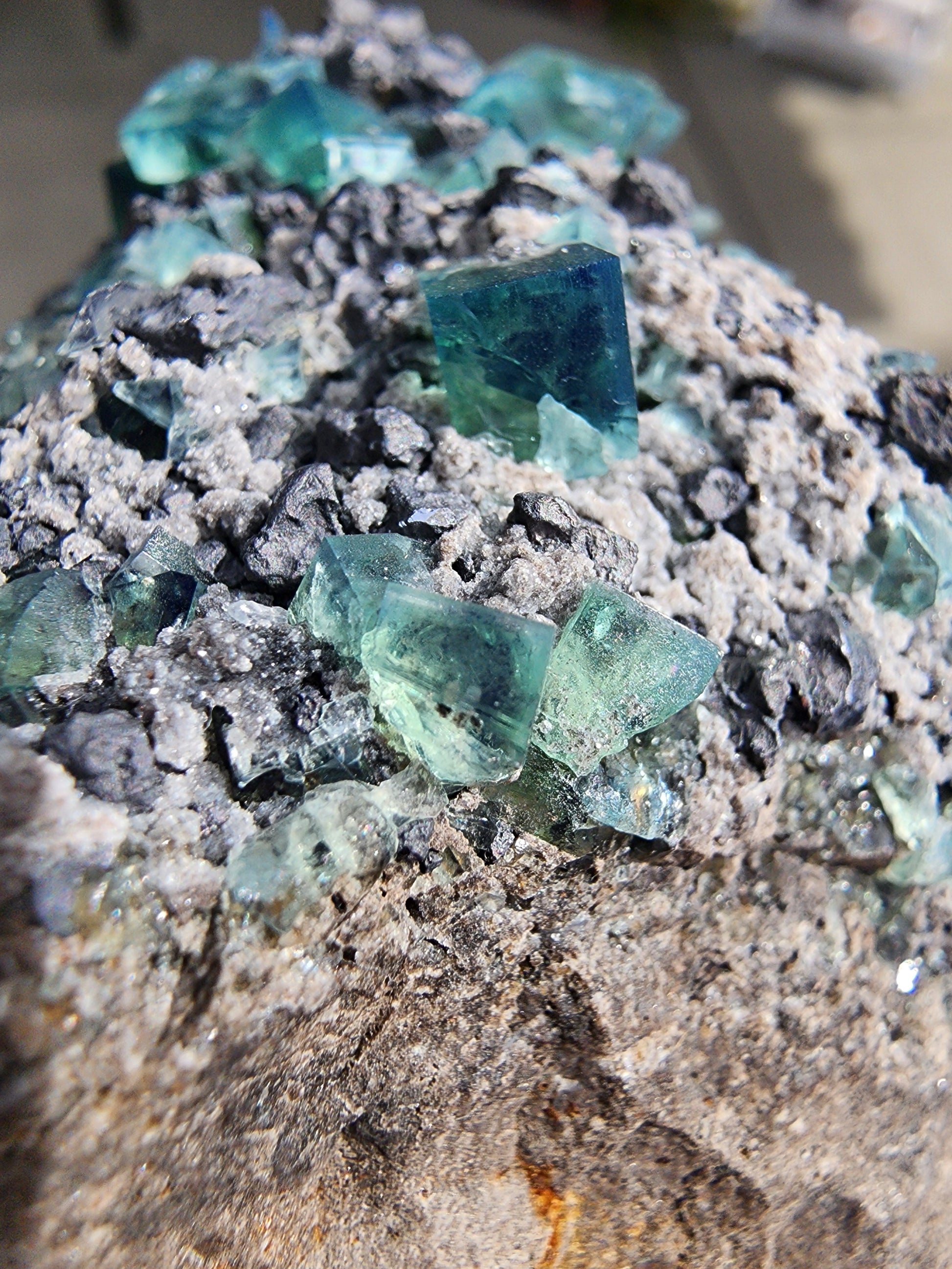 A close-up photograph of a mineral specimen from The Crystalary, featuring sharp, translucent greenish-blue fluorite crystals embedded in a gray, rocky matrix. The cubic fluorite crystals are scattered unevenly across the rough surface of the stone and are accompanied by metallic galena crystals shimmering subtly. This stunning piece is known as "Fluorite w/ Galena - Heavy Metal Pocket" and comes from the Diana Marie Mine in Weardale, County Durham, England.