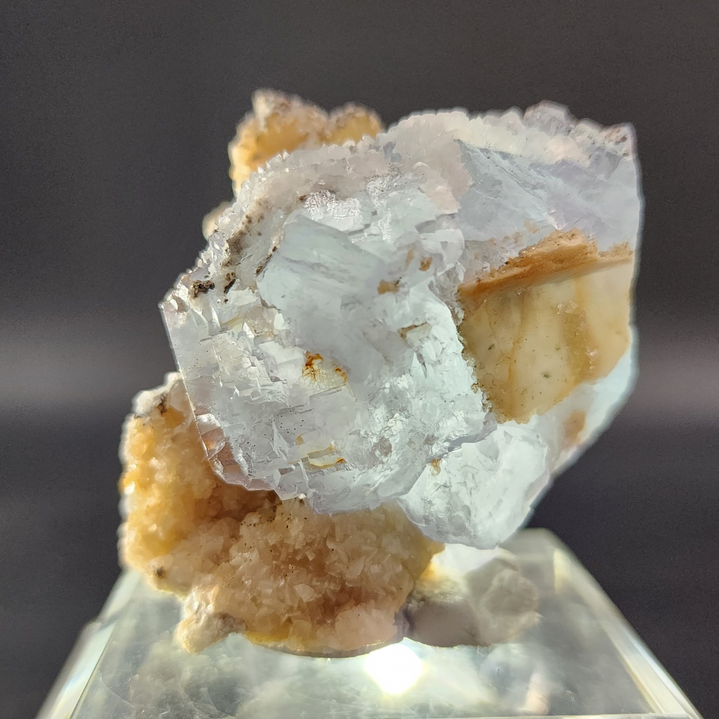 A close-up image features a stunning translucent mineral specimen from The Crystalary, showcasing a large, clear Quartz crystal with jagged edges atop a cluster of smaller, pale orange crystals. The display is elegantly presented on a clear stand against a dark background, bathed in an icy blue hue reminiscent of the Fluorite from Yaogangxian.