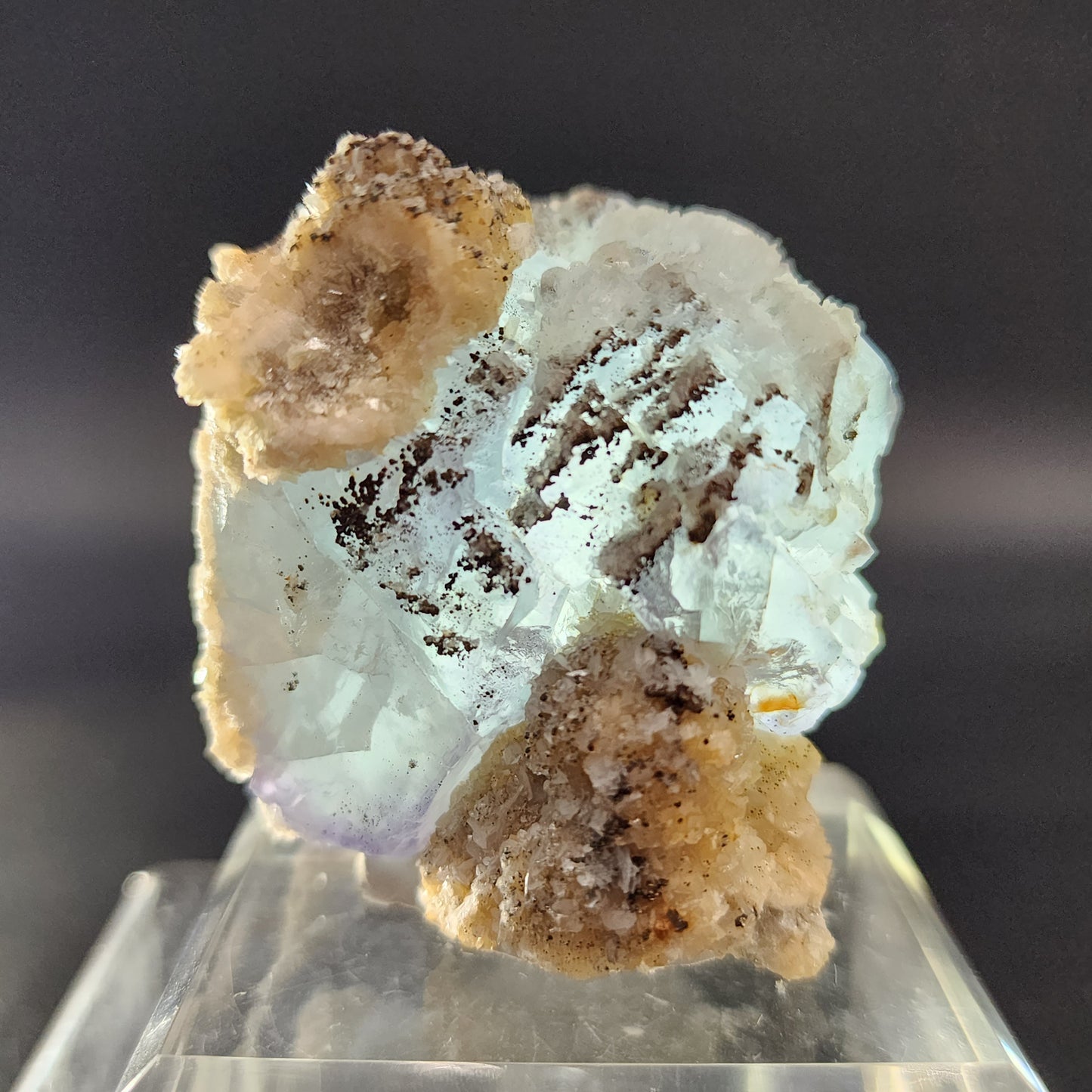 A close-up photograph features the Fluorite, Yaogangxian specimen from The Crystalary. This translucent crystalline mineral exhibits a stunning cubic structure and is predominantly clear with subtle icy blue, purple, and green hues. It is encircled by beige, textured mineral formations and elegantly displayed on a clear stand against a dark background.