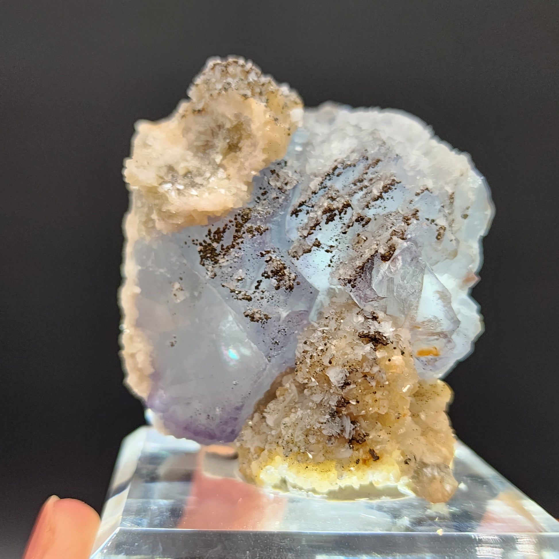 A hand holds a clear stand displaying The Crystalary's Fluorite, Yaogangxian mineral sample, featuring a gradient of colors from icy blue to bluish-gray. The uncut mineral showcases rough, crystalline textures and is set against a plain black background.