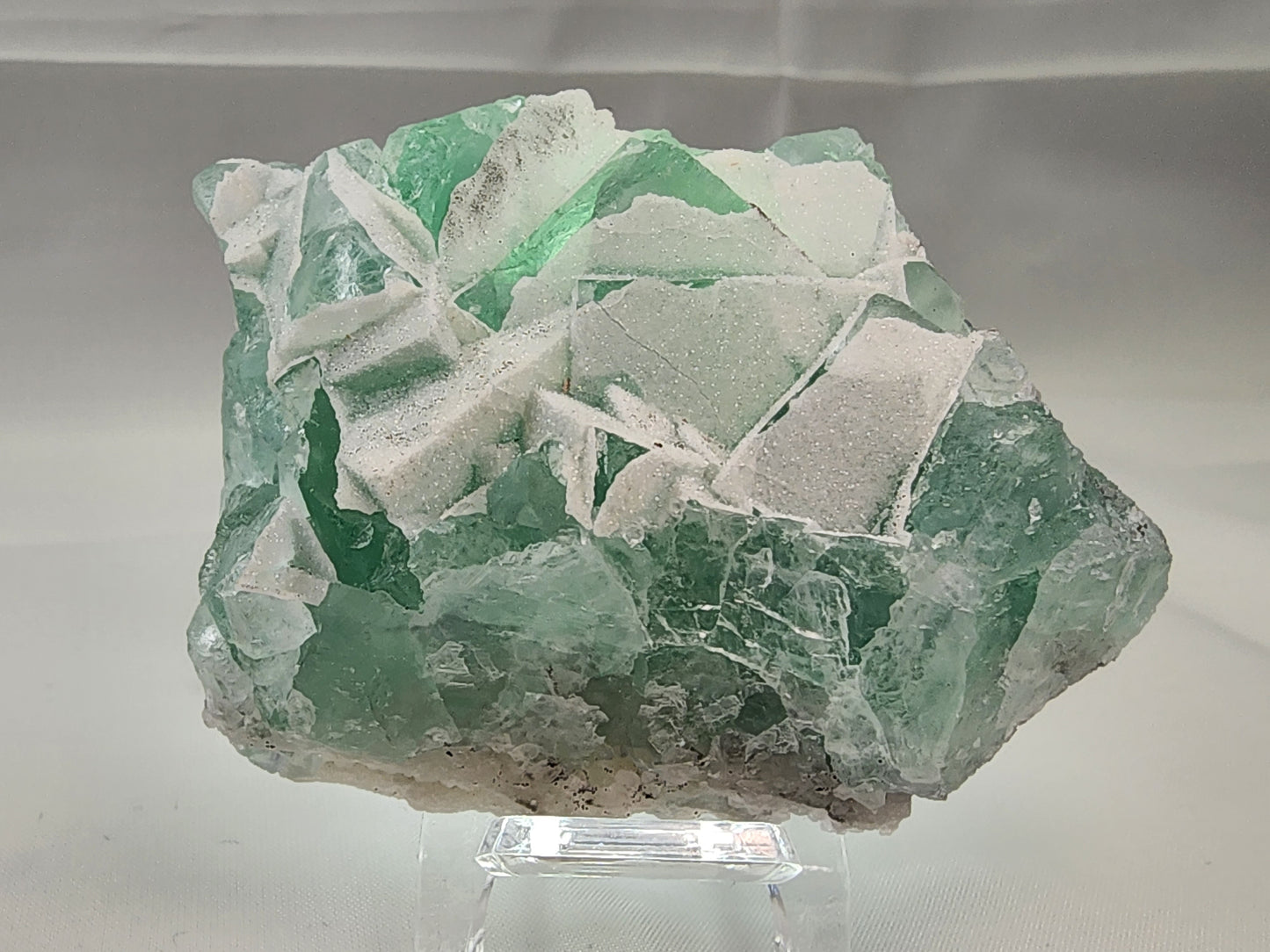 The Crystalary's Fluorite-Yaogangxian with Micro "Sugar" Quartz is exhibited on a clear stand, featuring seafoam green fluorite with distinct geometric crystals. The translucent specimen reveals intricate internal structures and a mix of smooth and rough textures, enhanced by a hint of micro quartz for added complexity. The background is plain and light-colored.