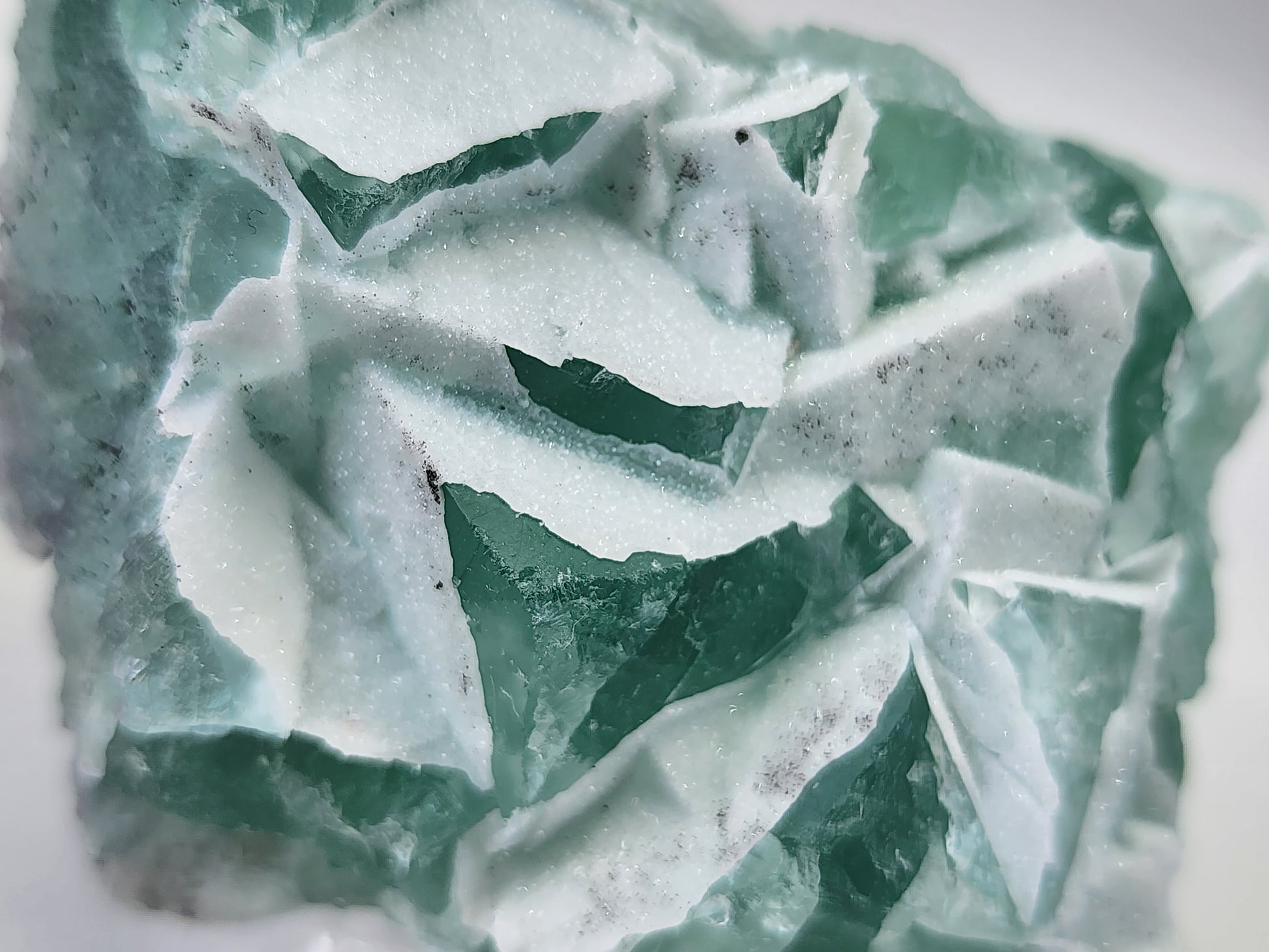 A close-up of the Fluorite-Yaogangxian with Micro "Sugar" Quartz by The Crystalary reveals a seafoam green fluorite crystal adorned with white formations. This exquisite mineral specimen boasts sharp, angular edges and a textured surface, showcasing an array of intermingling shades of green and white. The intricate details and natural patterns are beautifully highlighted in the image.