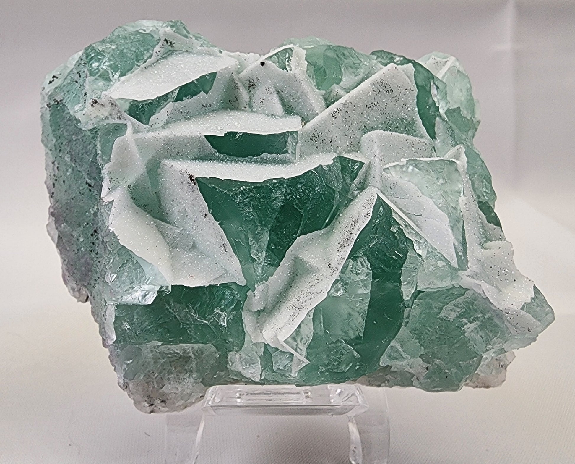 A rough mineral specimen, named Fluorite-Yaogangxian with Micro "Sugar" Quartz by The Crystalary, features seafoam green fluorite with white cubic formations and micro quartz embedded in and protruding from its surface. It is displayed on a small clear stand against a plain background.