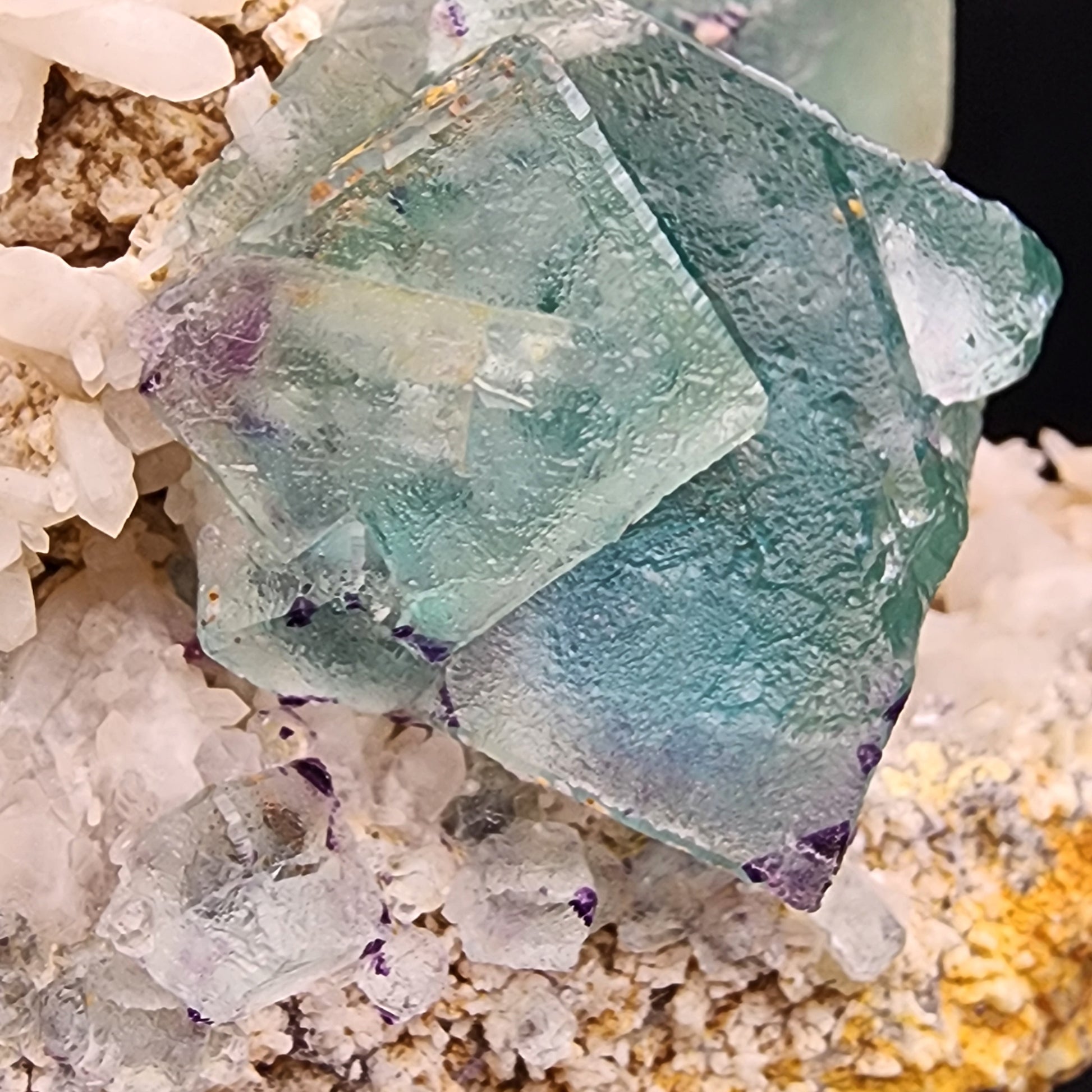 Close-up of the Fluorite/Milky Quartz from The Crystalary. This mineral cluster from the Brandberg Area in the Dâures Constituency, Erongo Region, Namibia features sea green aqua fluorite cubic crystals. The translucent cubes exhibit subtle color variations, primarily green with hints of purple and blue, all surrounded by a milky quartz association on a rocky base.