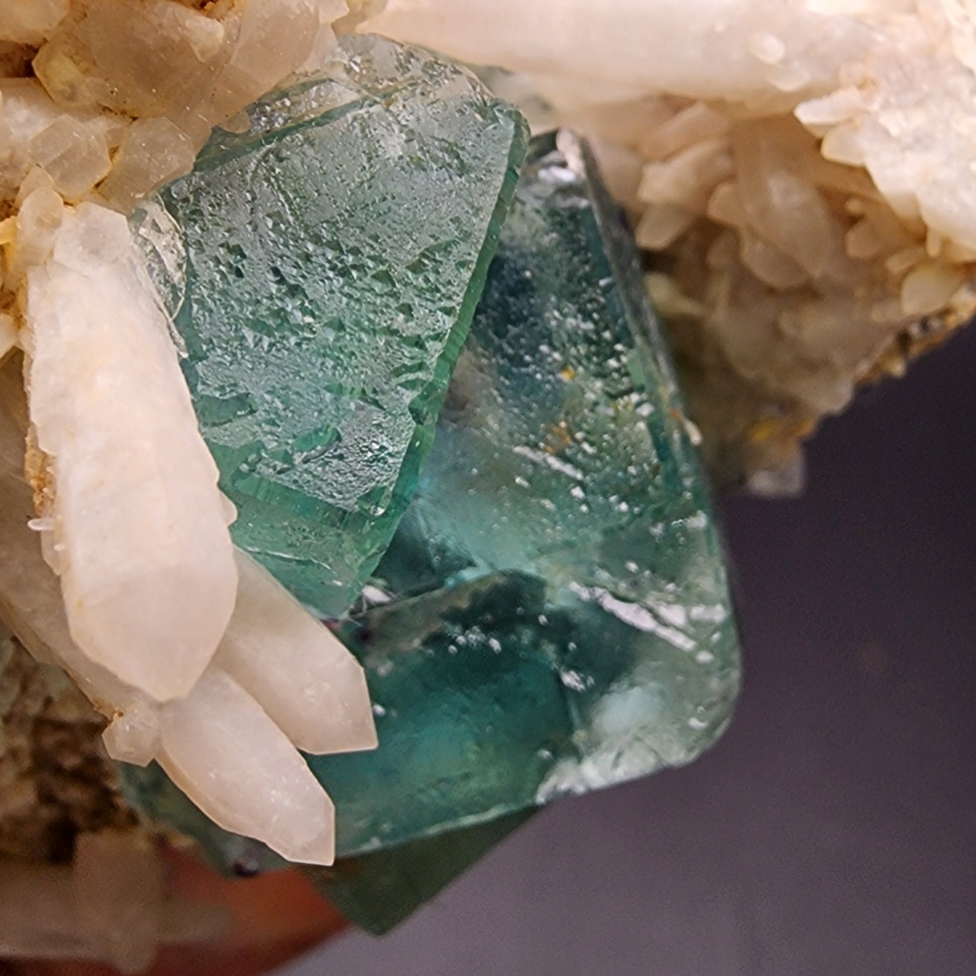 Close-up of The Crystalary's Fluorite/Milky Quartz from the Brandberg Area, Dâures Constituency, Erongo Region in Namibia. The purple and sea green cubic fluorite crystals exhibit a translucent, glass-like appearance, while the white milky quartz association boasts elongated, opaque formations that create a striking visual contrast.