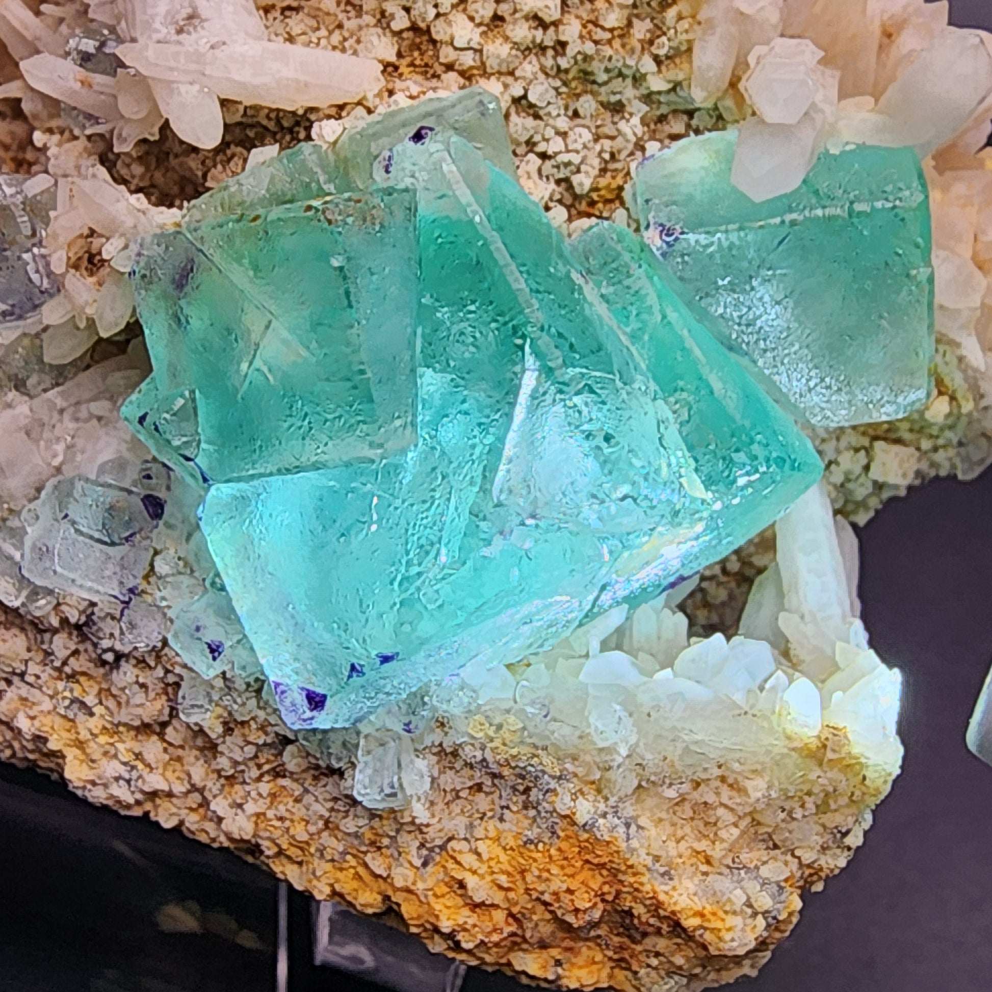 Close-up of vibrant sea green aqua fluorite crystals with a cubic structure, surrounded by white and translucent milky quartz crystals. The minerals rest on a textured, earthy brown matrix, highlighting the contrast between the gem-like fluorite and the rugged base. This stunning piece is from The Crystalary's Fluorite/Milky Quartz collection sourced from the Brandberg Area in Dâures Constituency, Erongo Region, Namibia.