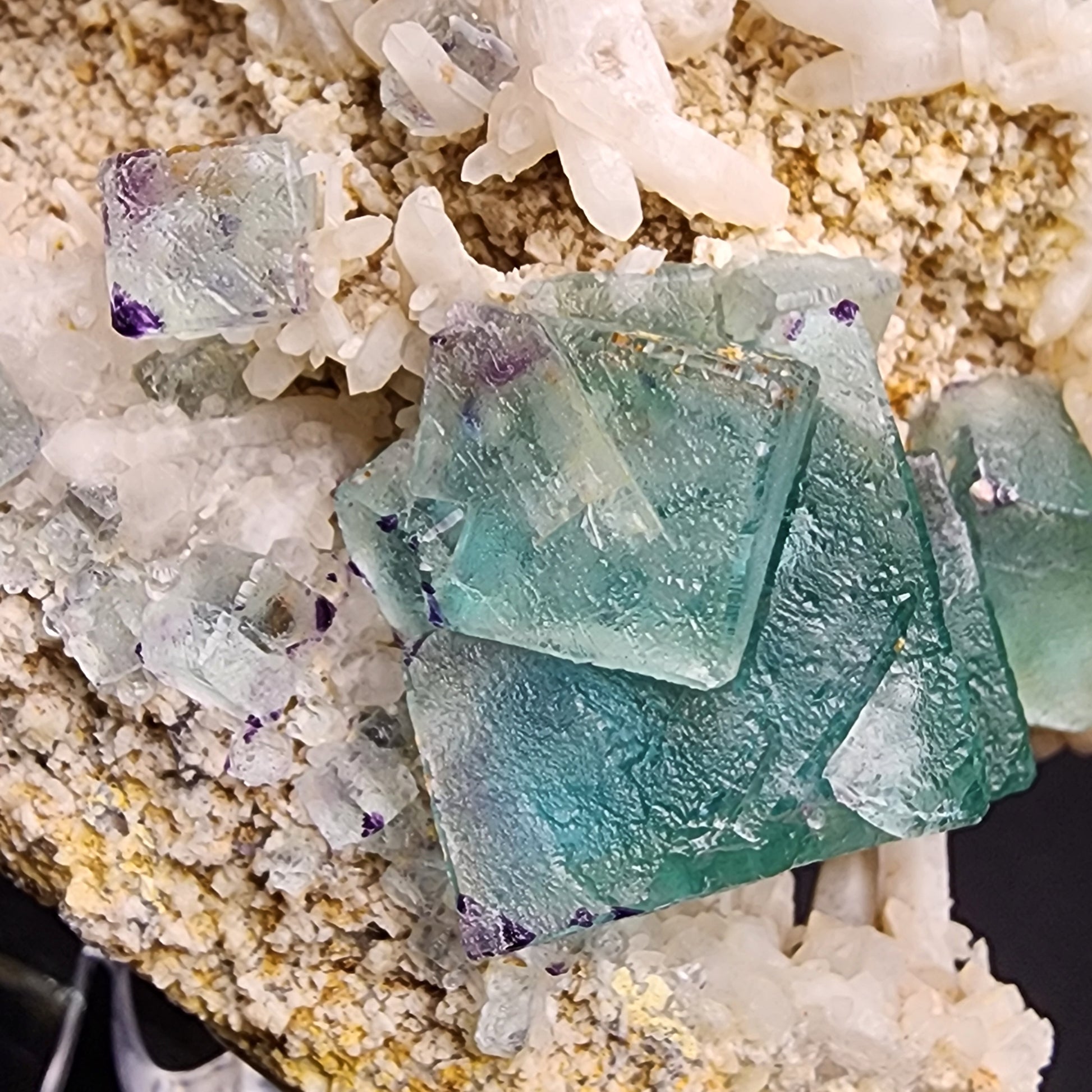 A close-up image showcasing a vibrant sea green aqua Fluorite/Milky Quartz crystal formation from the Brandberg Area, Dâures Constituency, Erongo Region, Namibia. Produced by The Crystalary, the cubes are interspersed with white calcite crystals on a rocky matrix. Some edges of the fluorite exhibit slight purple hues, and the texture of the stone matrix appears rough and granular.