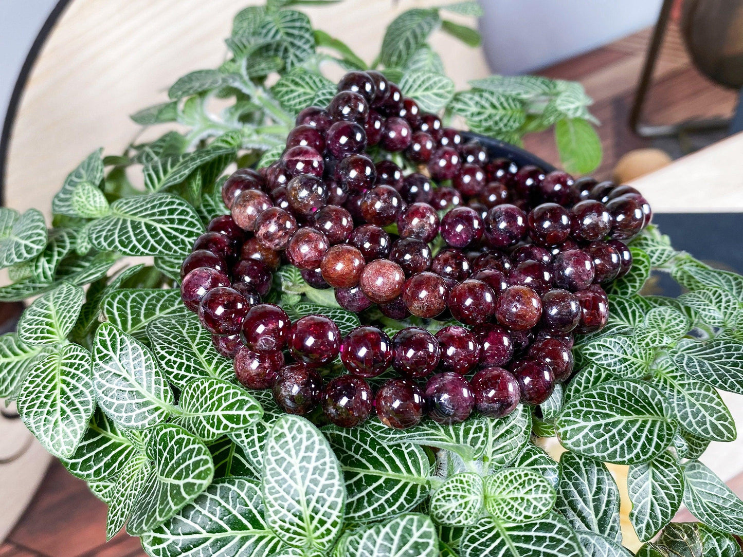 A collection of The Crystalary's Garnet Crystal Bracelet- 6mm is displayed on a lush green plant with patterned leaves. The gemstone bracelets, made of polished round beads, are artfully arranged in a circular fashion on the verdant foliage.