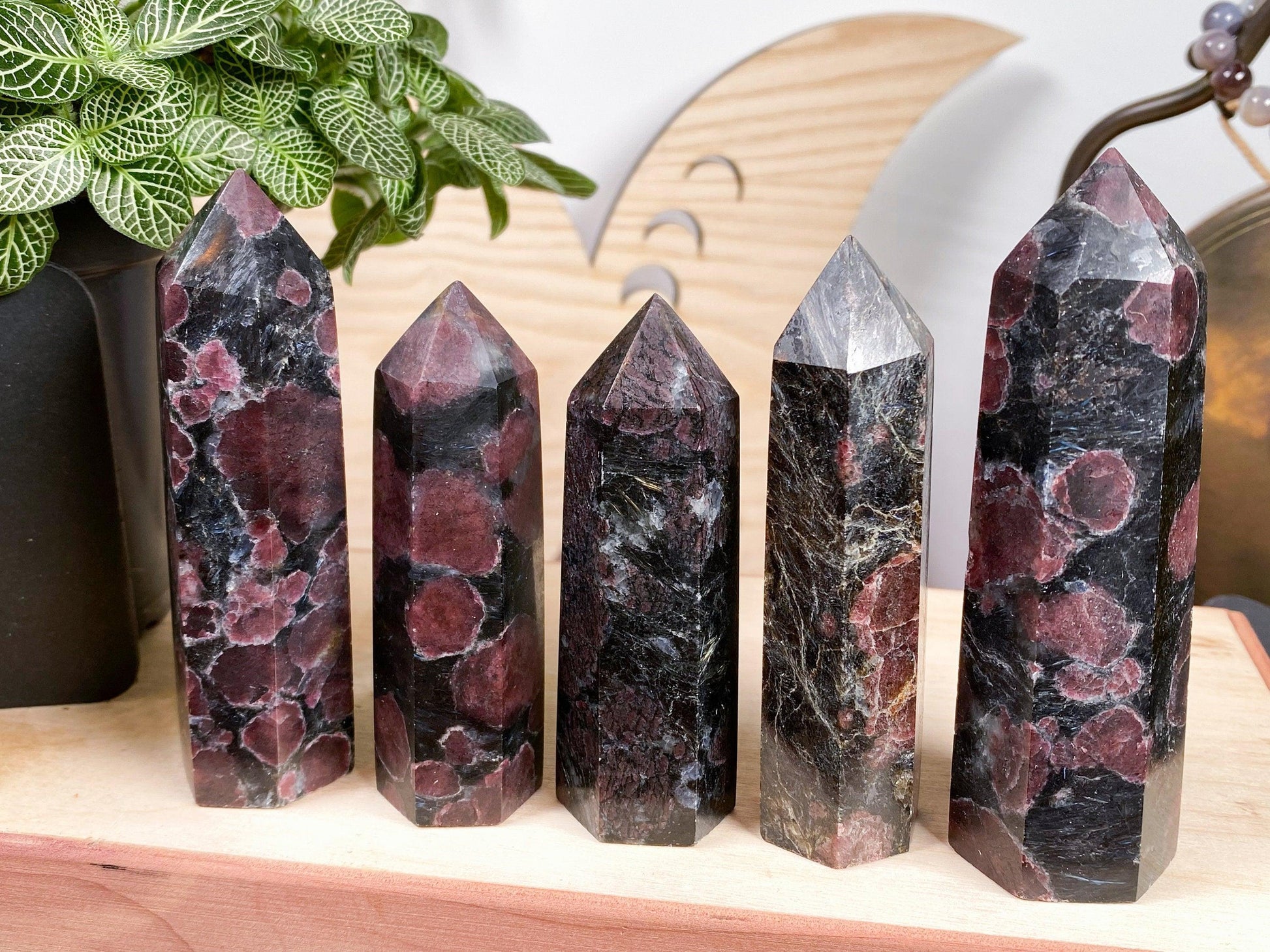 Five polished Garnet Crystal Points from The Crystalary, featuring deep red and black hues, stand upright in a row on a wooden surface. In the background, green leaves complement a wooden decorative element, emphasizing the unique colors and patterns of this exquisite Crystal Point collection.