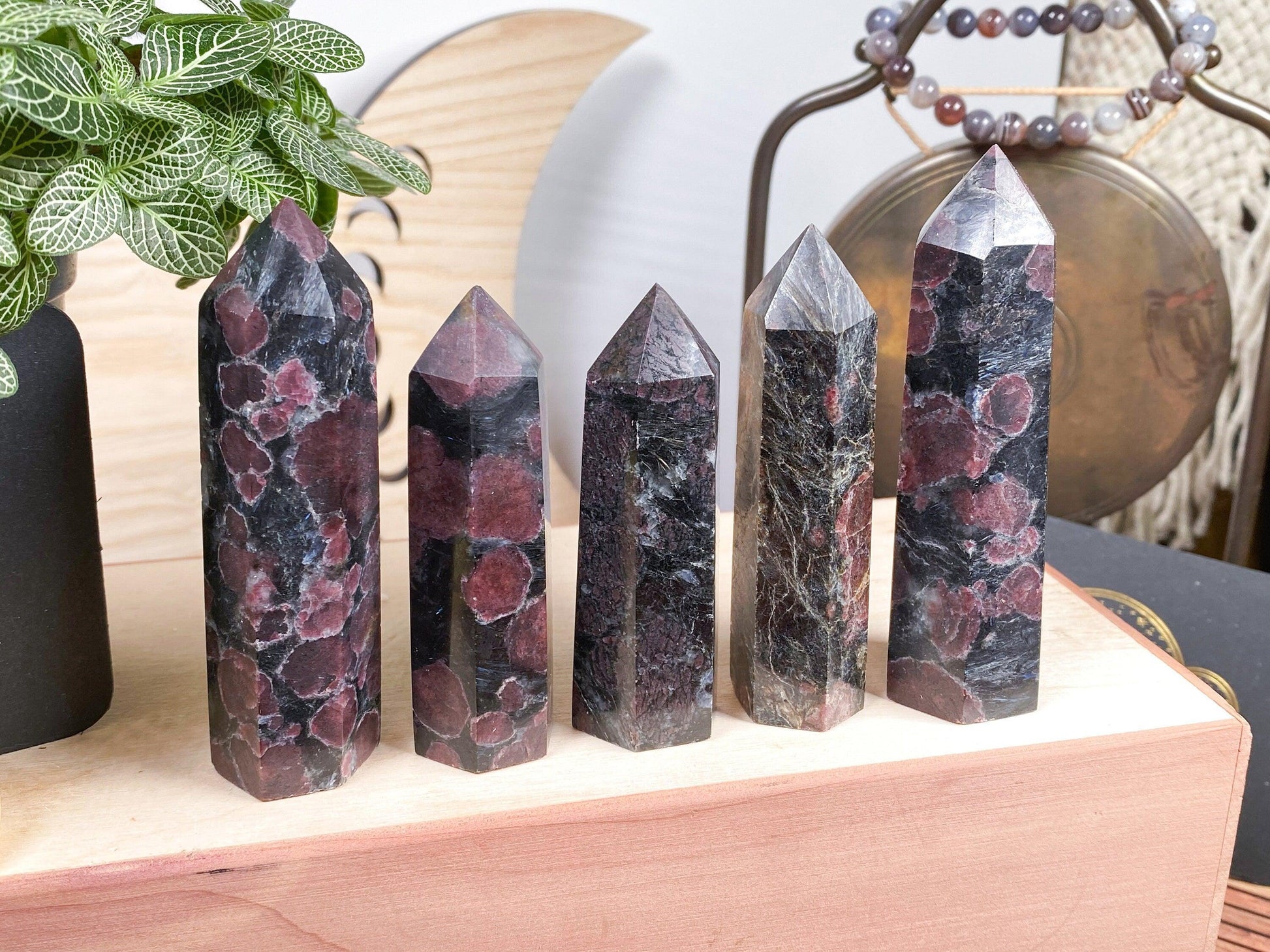 Five polished Garnet Crystal Points from The Crystalary are displayed in a row on a wooden surface. Each unique crystal showcases a dark base color with maroon-red patches, resembling Garnet with Arfvedsonite. A green potted plant and decorative gong are visible in the background, enhancing the tranquil setting.