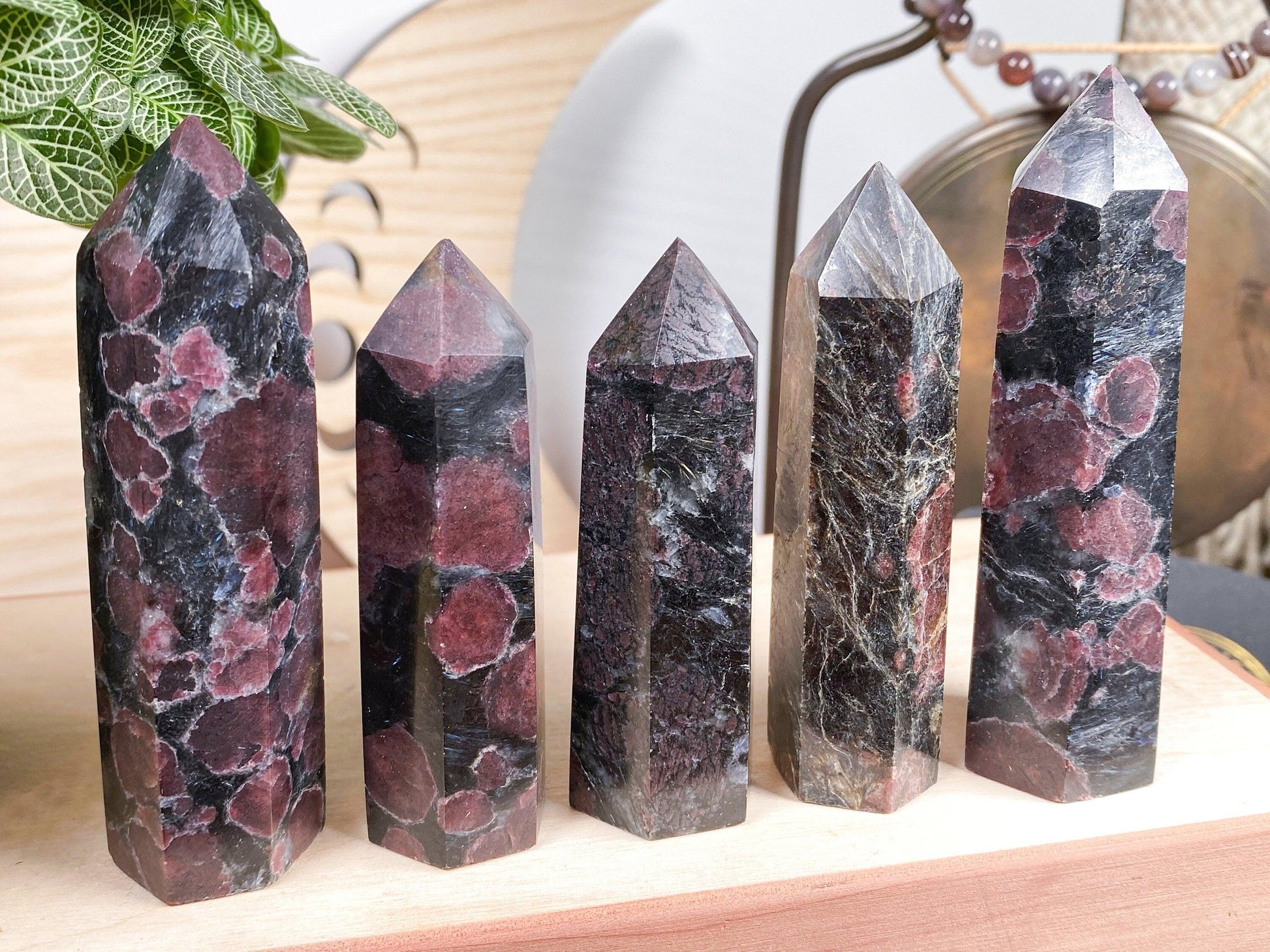 The image features five Garnet Crystal Points from The Crystalary showcasing unique colors and patterns with a dark, glossy surface adorned with clusters of reddish spots. They stand on a wooden surface with a green plant, a wooden fan, and a metallic object adorned with beads visible in the background.