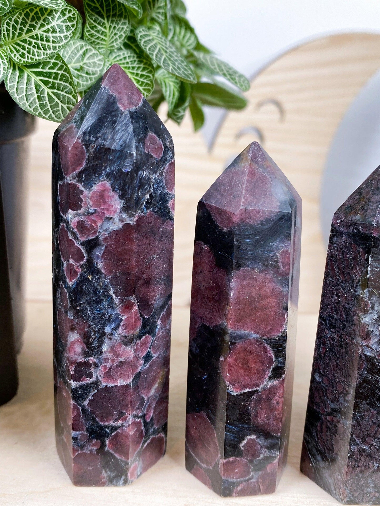 Two polished Garnet Crystal Points from The Crystalary, featuring unique red and black hues along with intricate geometric patterns, stand side by side on a wooden surface. In the background, a potted plant with green leaves adds a natural touch to the scene, perfectly complementing the exquisite Garnet with Arfvedsonite design.