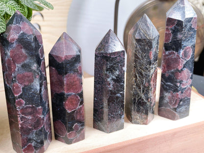 A row of five Garnet Crystal Points from The Crystalary, each with hexagonal bases and pointed tops, showcases unique colors and patterns with dark hues and prominent reddish spots. They are displayed on a wooden surface, with a green leafy plant partially visible on the left.