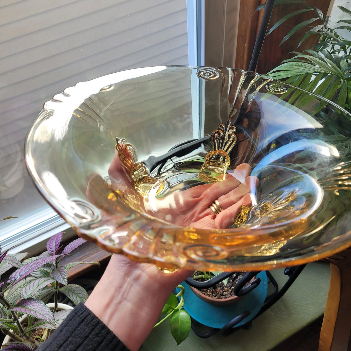 A person holding a translucent, scalloped-edge HEISEY Empress Sahara bowl up to the light. The RARE yellow bowl, with its four dolphin-shaped feet from the 1940s, features ornate details and a reflective surface. Indoor plants and a window with blinds are in the background, highlighting the elegance of this The Crystalary masterpiece.