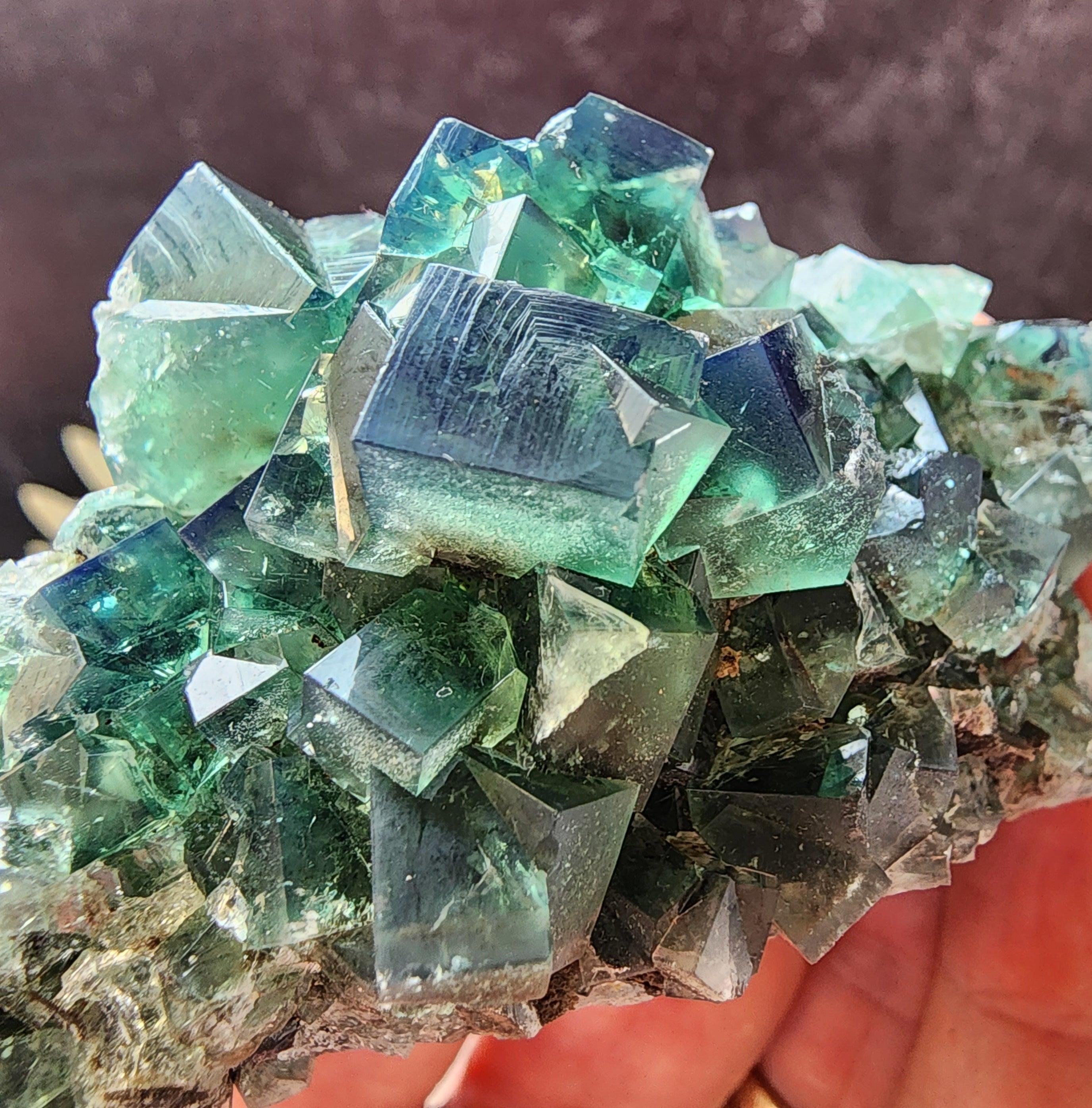 Hidden Forest Pocket Fluorite, Diana Maria Mine – The Crystalary