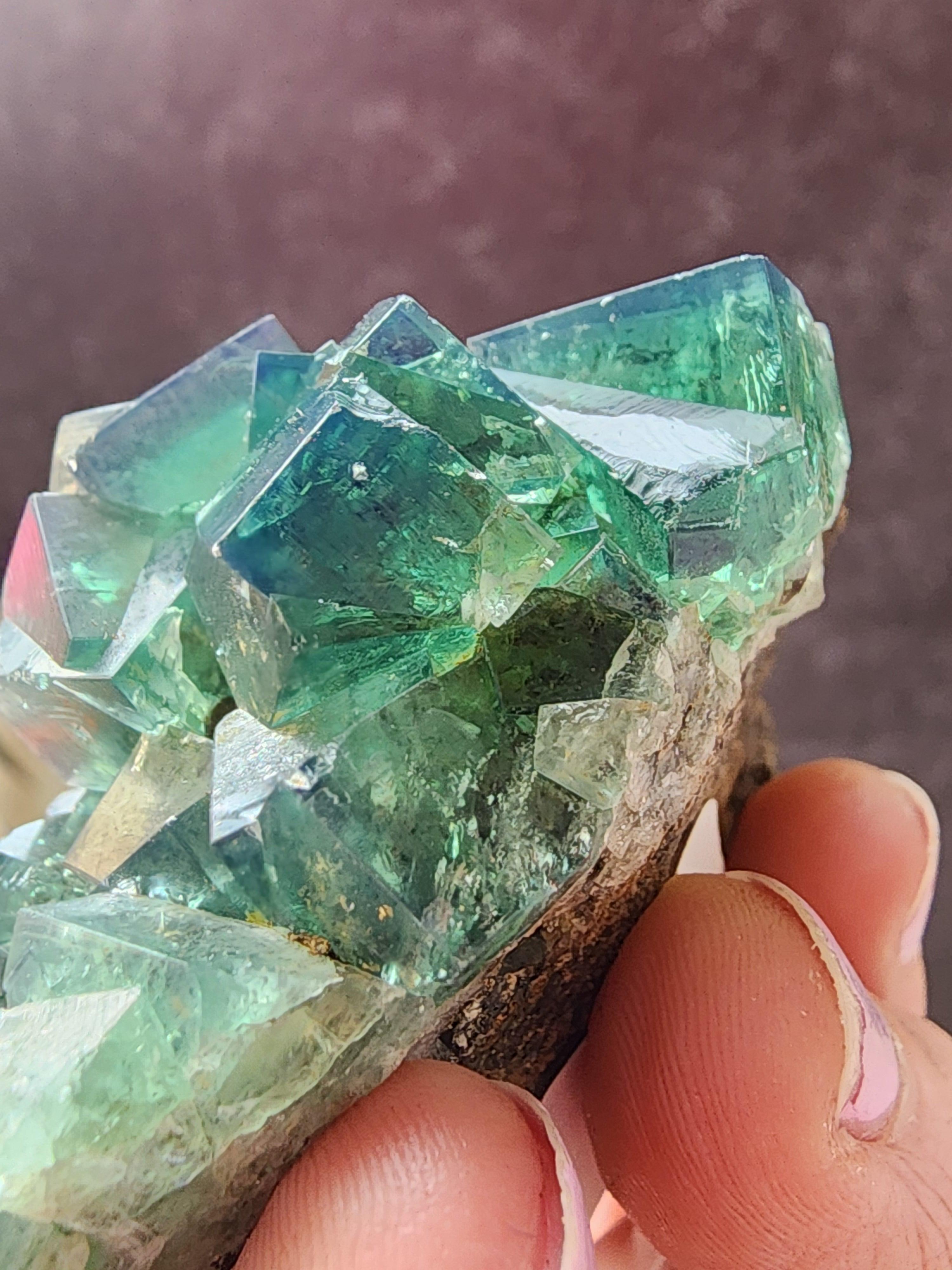 Hidden Forest Pocket Fluorite, Diana Maria Mine – The Crystalary