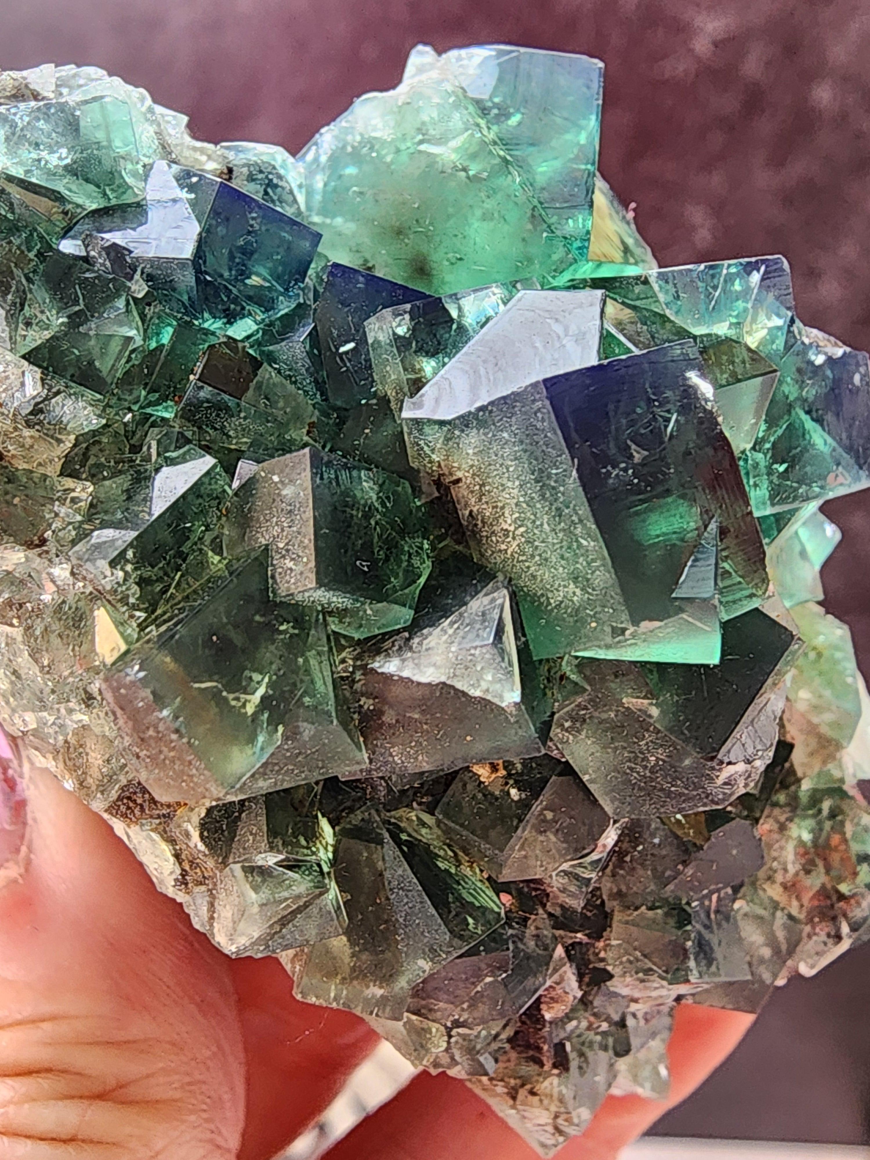 Hidden Forest Pocket Fluorite, Diana Maria Mine – The Crystalary