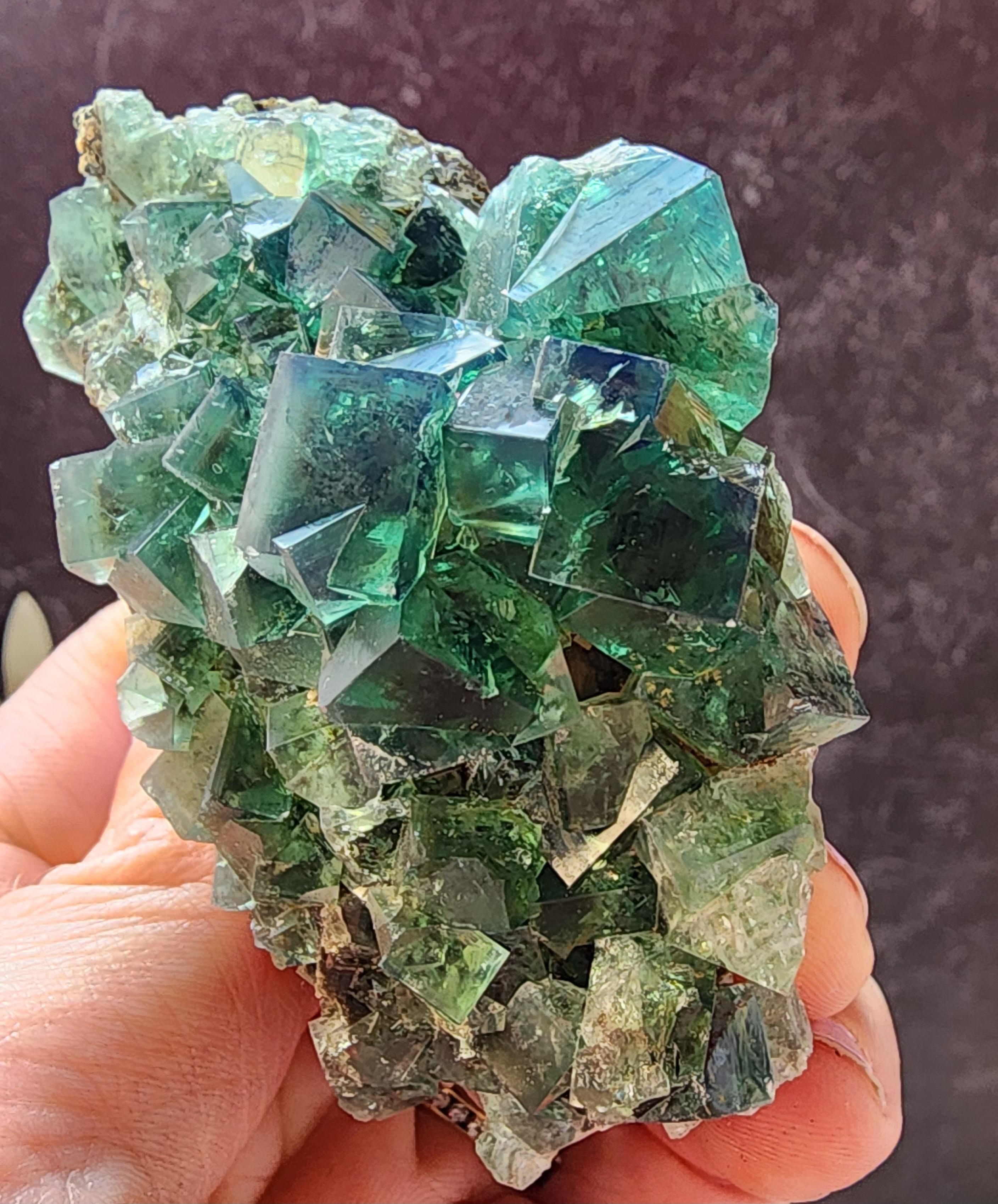 Hidden Forest Pocket Fluorite, Diana Maria Mine – The Crystalary