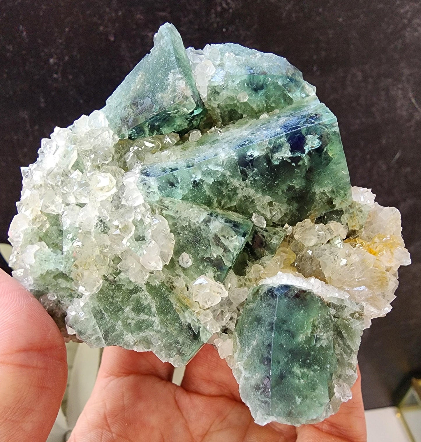 A hand holds a cluster of Hidden Forest Pocket Fluorite with Quartz from The Crystalary, showcasing sharp-edged green fluorite crystals that display varying shades of green, from light to dark. This stunning specimen from the Diana Maria Mine in Weardale features fluorescent minerals with clear, glassy surfaces interspersed with translucent white quartz formations. The dark background contrasts beautifully with the vibrant minerals.