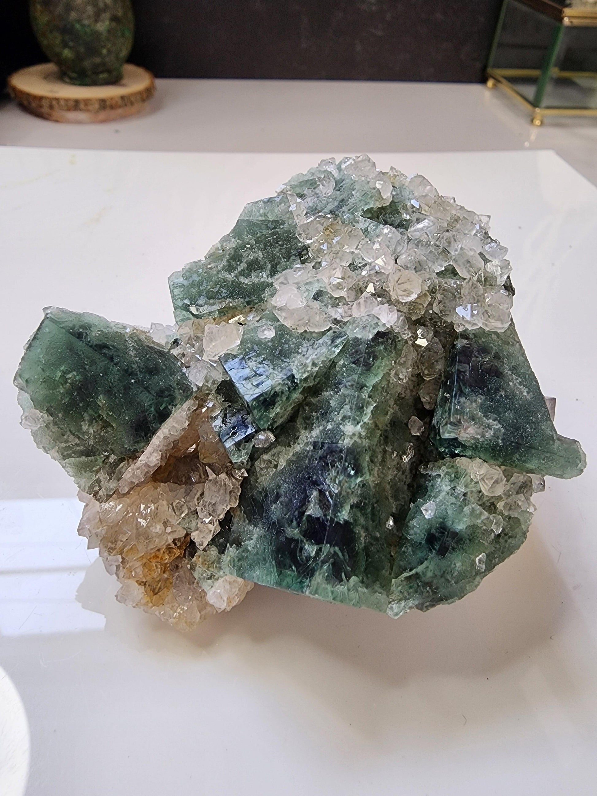 Hidden Forest Pocket Fluorite with Quartz, Diana Maria Mine - Fluorite - The Crystalary