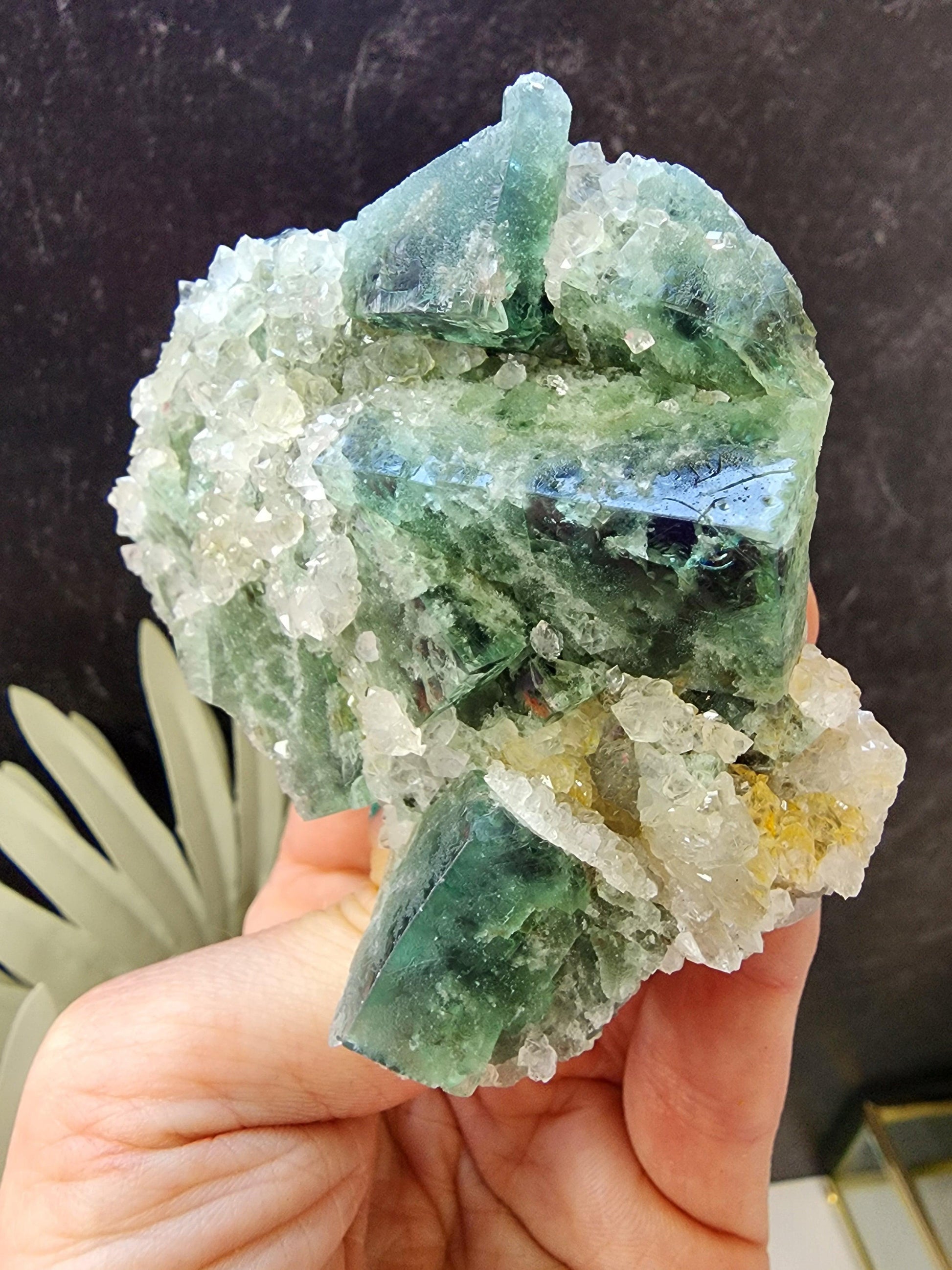 A hand holds a vibrant green and clear crystal cluster, featuring large, partially translucent green crystals emerging from a base of smaller, clear crystals. This exquisite Hidden Forest Pocket Fluorite with Quartz specimen from The Crystalary is sourced from the Diana Maria Mine in Weardale. The dark background provides striking contrast to the bright mineral display.