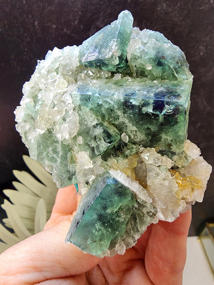 Hidden Forest Pocket Fluorite with Quartz, Diana Maria Mine - Fluorite - The Crystalary