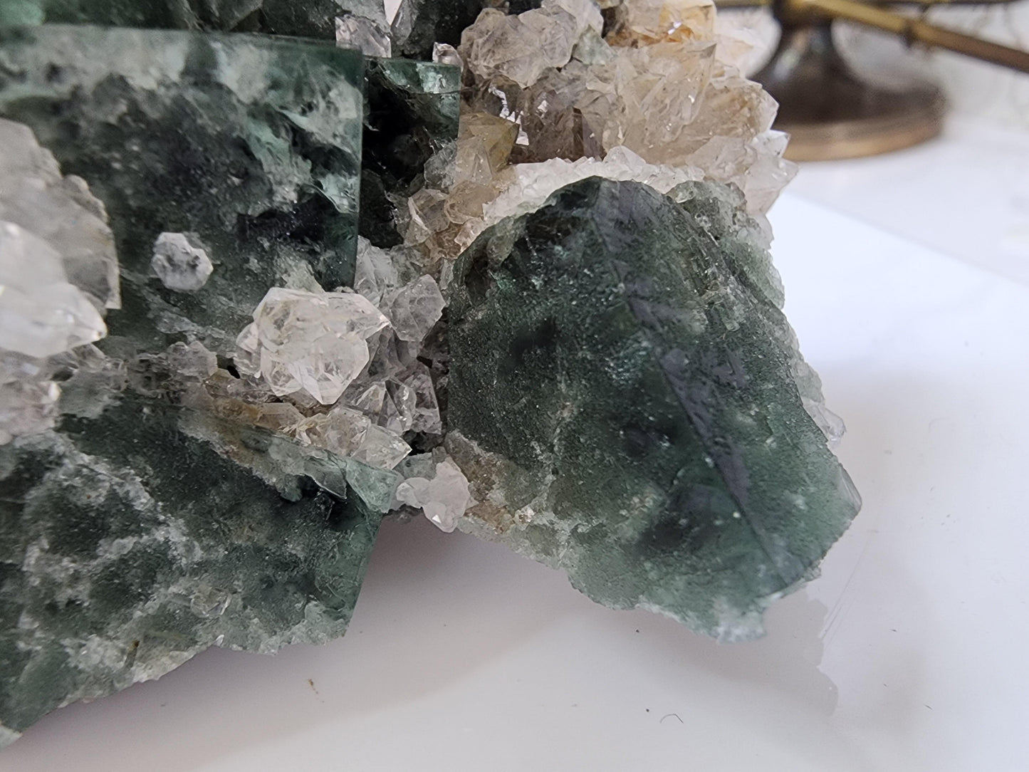 Hidden Forest Pocket Fluorite with Quartz, Diana Maria Mine - Fluorite - The Crystalary