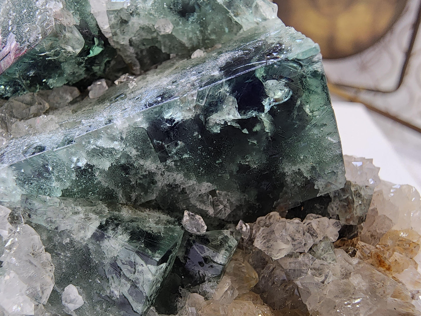 Hidden Forest Pocket Fluorite with Quartz, Diana Maria Mine - Fluorite - The Crystalary