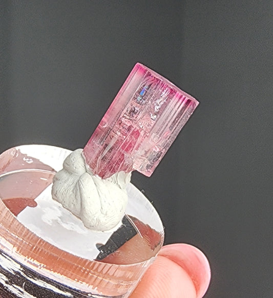 A hand holds a glass stand displaying the Hot Pink Pocket Tourmaline-Coronel Murta, Minas Gerais, Brazil by The Crystalary. The rectangular pink tourmaline crystal is securely attached to the stand with grey adhesive. The out-of-focus and dark background enhances the clarity and vibrant color of the tourmaline.