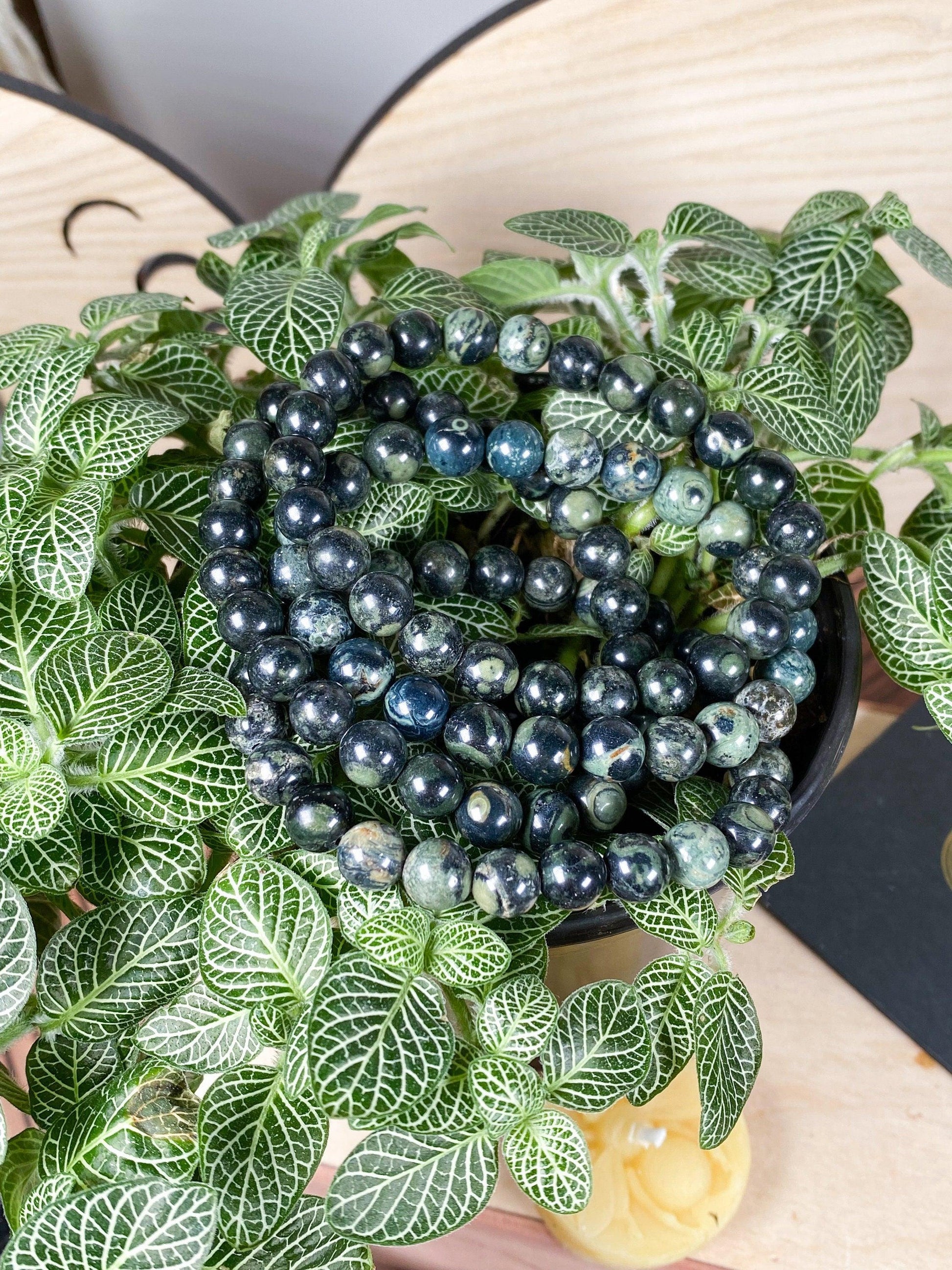 A lush green plant with vibrant, patterned leaves holds several strands of The Crystalary's Kambaba Jasper (Green Stromatolite) Crystal Bracelets. The 7.5-inch beaded bracelets showcase a deep shade with subtle variations and reflective surfaces, coiled neatly atop the plant's foliage.