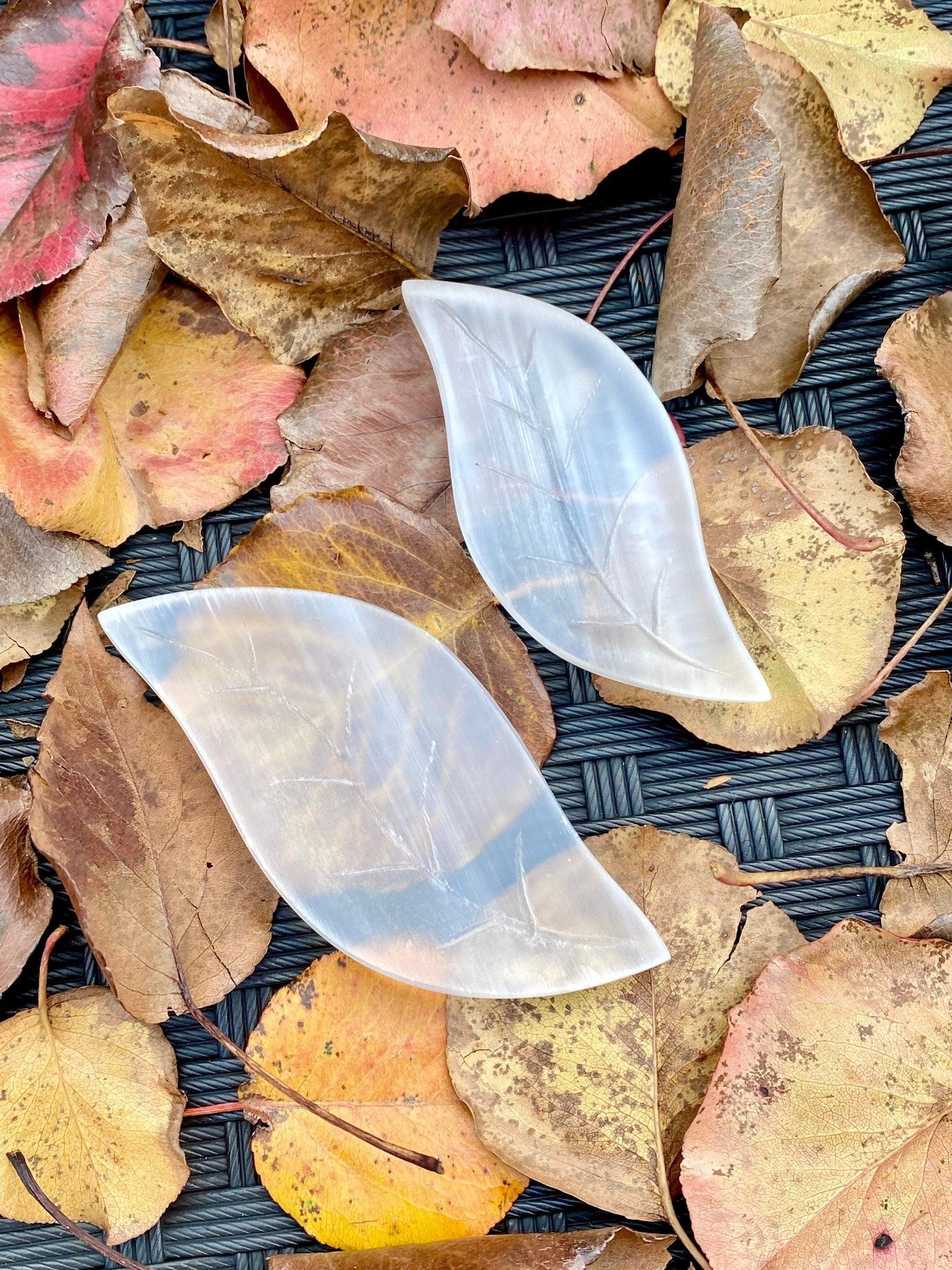 Two translucent, leaf-shaped objects from The Crystalary's Leaf Selenite Charging Plate collection rest on a surface covered in dry, autumn leaves. The plates are clear with subtle veining, mimicking the intricate details of real leaves. The natural charging surface underneath the leaves appears to be a black, textured material.