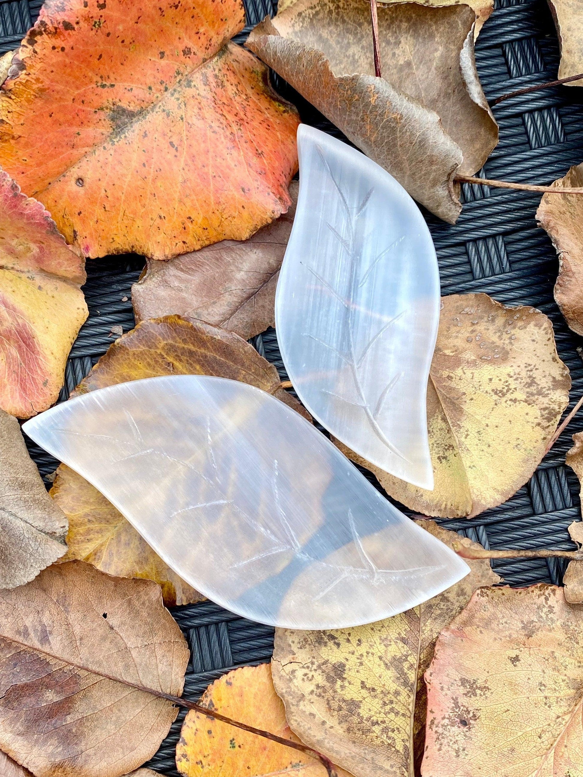 A pair of translucent white Leaf Selenite Charging Plates from The Crystalary, arranged on a dark, textured surface and framed by scattered dry autumn leaves in shades of gold, brown, and orange. The setup emphasizes the contrast between the delicate charging plates and the rugged leaves.