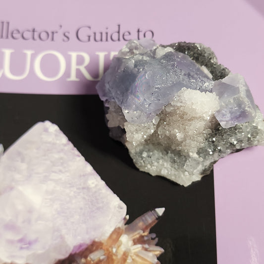 Image of two The Crystalary fluorite mineral specimens from the LIVE- Adrienne- 4/11/24 collection placed on a book titled "Collector's Guide to Fluorite." The larger specimen to the right features a mix of purple and white hues, while the smaller one to the left displays a lavender shade. Both showcase a crystalline structure.