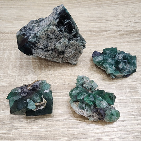 Displayed on a light wood surface are four green fluorite crystals of varying sizes from The Crystalary's LIVE- Adrienne collection, dated 8/16/2024. Three of the smaller crystals exhibit cubic formations, while the larger piece has an irregular shape with a striking gray matrix attached, resembling tiny fragments from the Northern Lights.