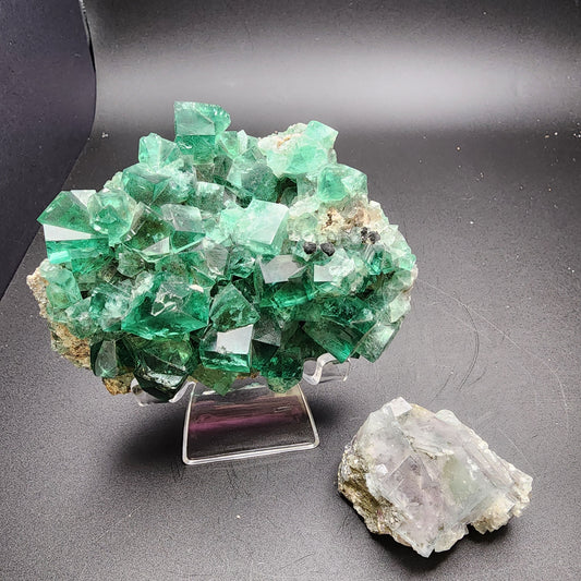 Displayed elegantly on a stand is a striking cluster of green fluorite crystals, showcasing their sharp-edged and geometric formations. Nearby, resting on the surface, is a smaller piece of fluorite adorned with subtle hints of green and purple. Both pieces are set against a dark background, creating a captivating contrast. These exquisite pieces are available for 500 YGX or live sale credit through The Crystalary's LIVE- amelia_vmel- 9/5/24 event at Wolfie Pocket.