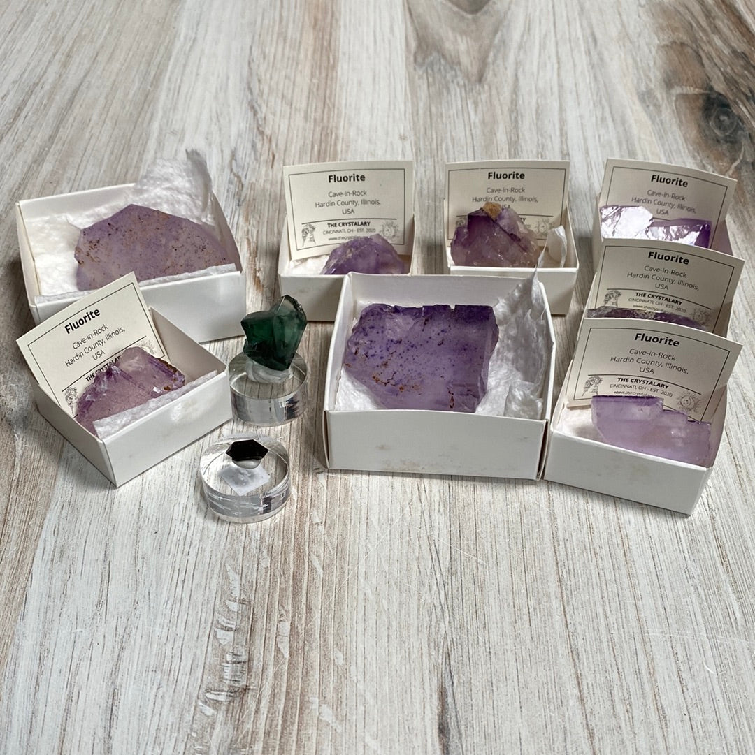 A display of The Crystalary's LIVE- autistic_medium- 4/25/24 features various purple and green fluorite crystal specimens from Cave in Rock, each carefully placed in small white boxes with detailed labels. The crystals are elegantly arranged on a wooden surface, complemented by morion quartz specimens housed in clear containers at the forefront.