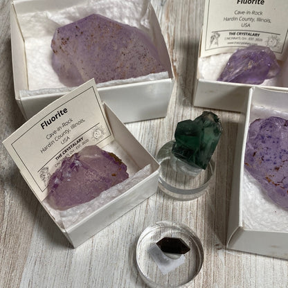 Various purple and green fluorite mineral specimens from Cave-in-Rock, Hardin County, Illinois, USA, are displayed in white boxes and clear stands with identification cards indicating their origin and type. The background features a light wooden surface akin to Rainbows End. This setup is part of the LIVE- autistic_medium- 4/25/24 collection by The Crystalary.