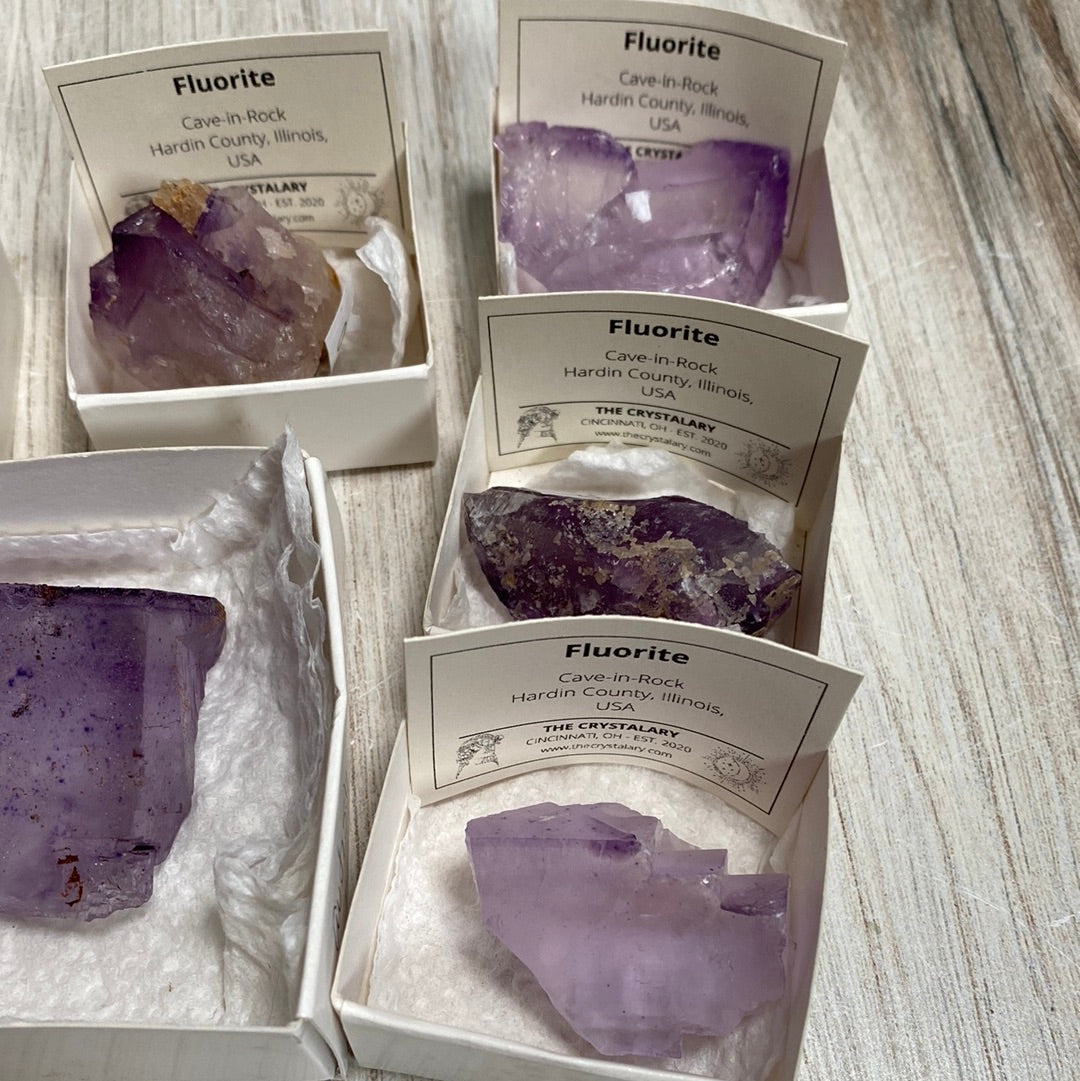 Image shows several boxes containing purple fluorite crystals from Cave-in-Rock, Hardin County, Illinois, USA. Each box has a descriptive label detailing the mineral, its origin, and the vendor, "The Crystalary." The crystals vary in size and shape. Some also feature morion quartz inclusions. These items are part of the product line "LIVE- autistic_medium- 4/25/24.