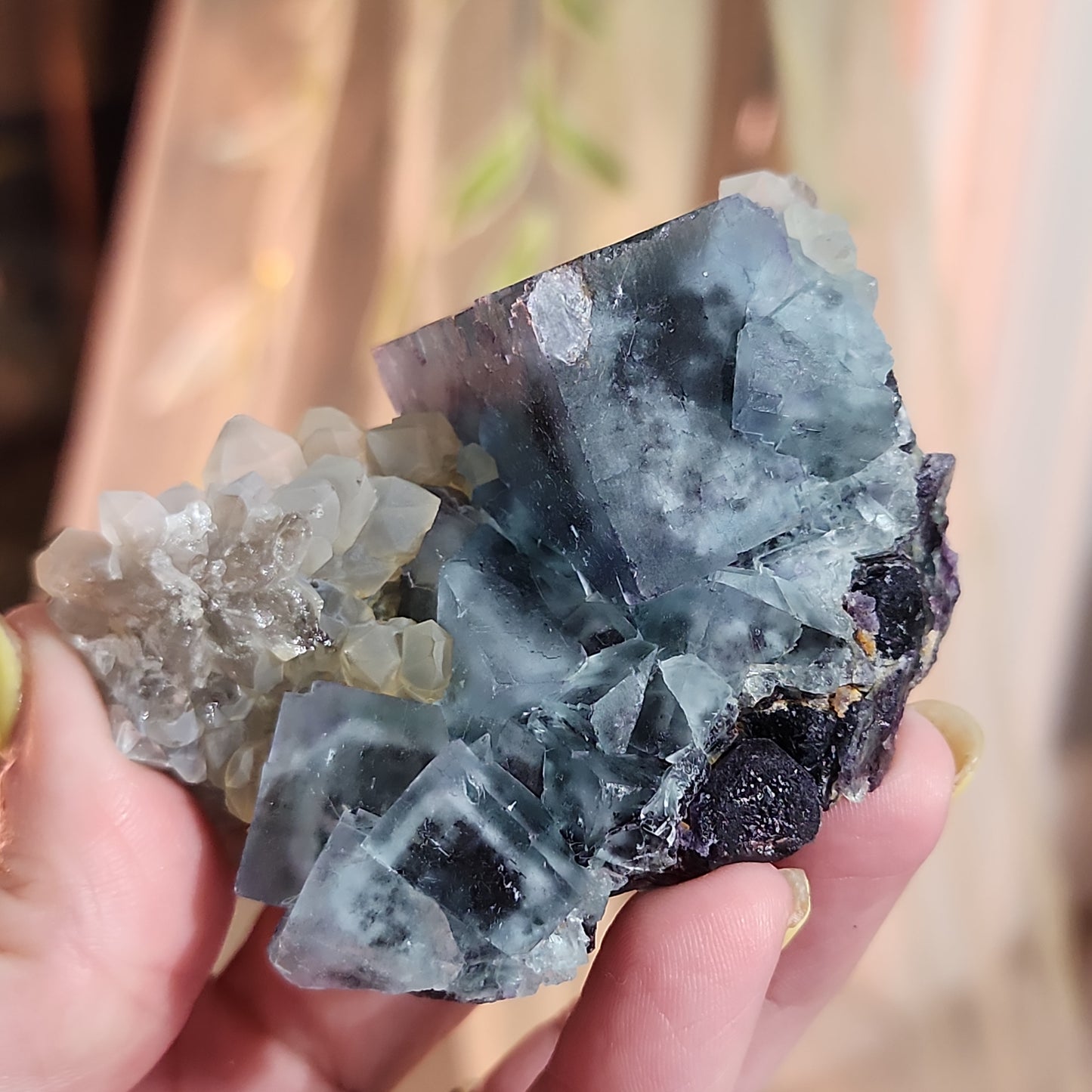 A hand holding a cluster of blue and green crystalline minerals, likely sourced from the Okorusu Mine, showcasing a combination of fluorite and possibly quartz or calcite. The crystals are clear and translucent in some parts, with intricate geometric formations. Perfect as a mini gift. Blurred background.
